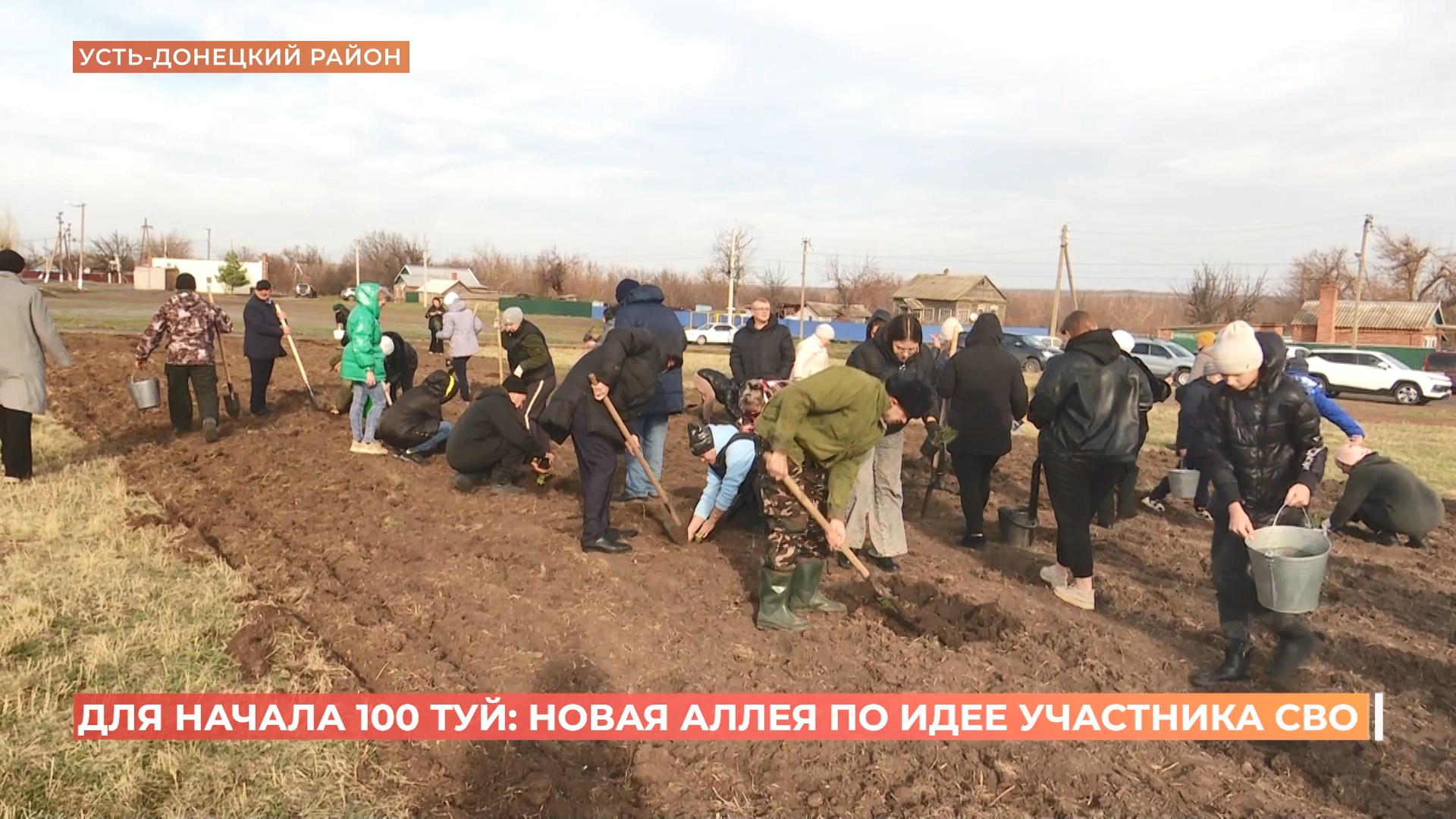 100 туй от участника СВО: новую аллею заложили в Усть-Донецком районе