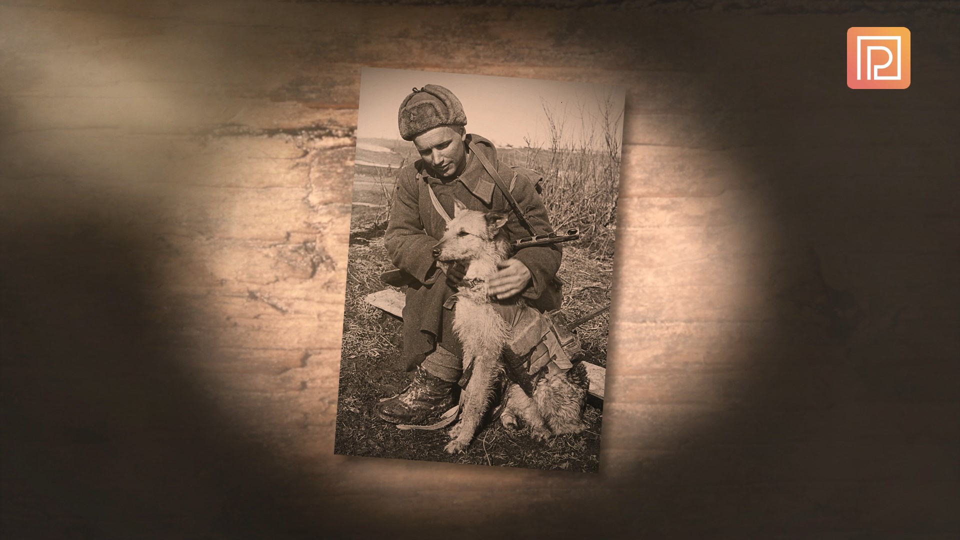 Документальный фильм: «СИТ. Собаки-истребители танков»