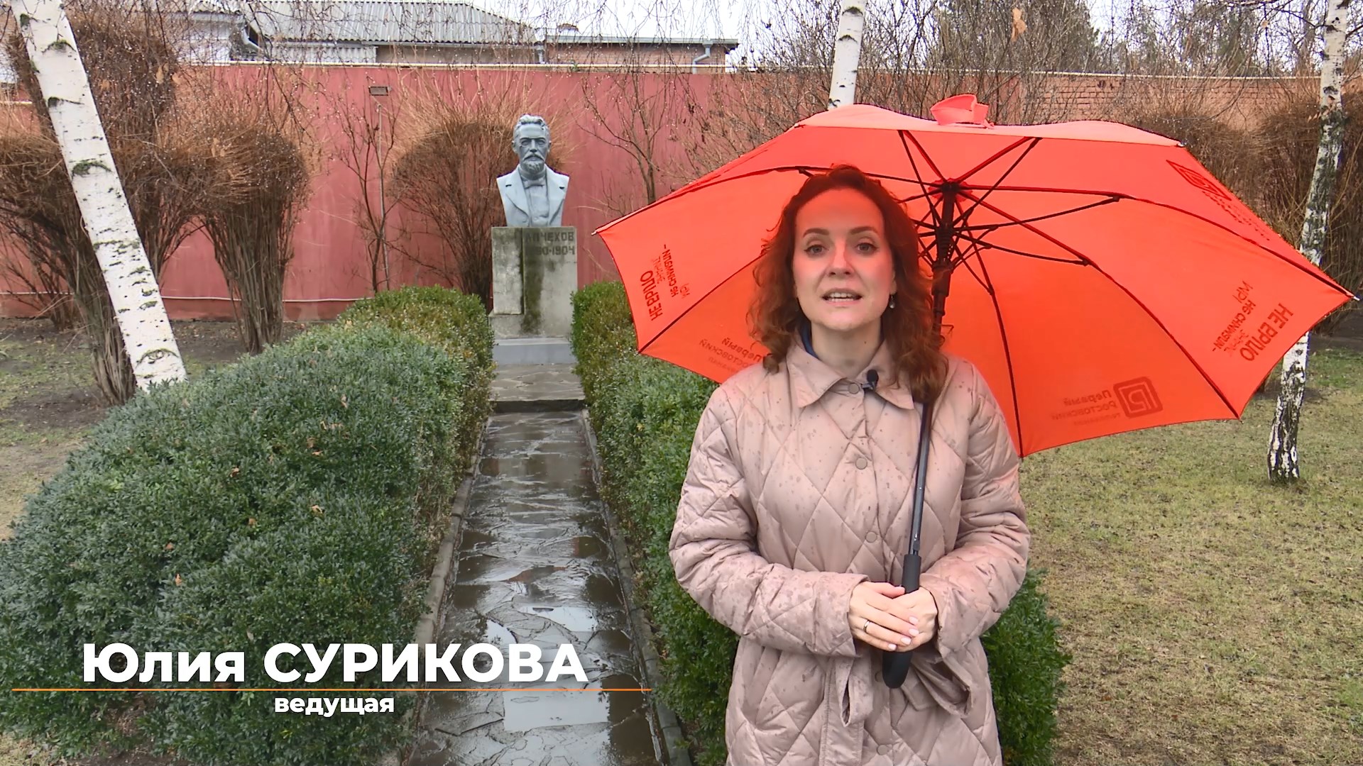 Ростов культурный. 25 января 2025