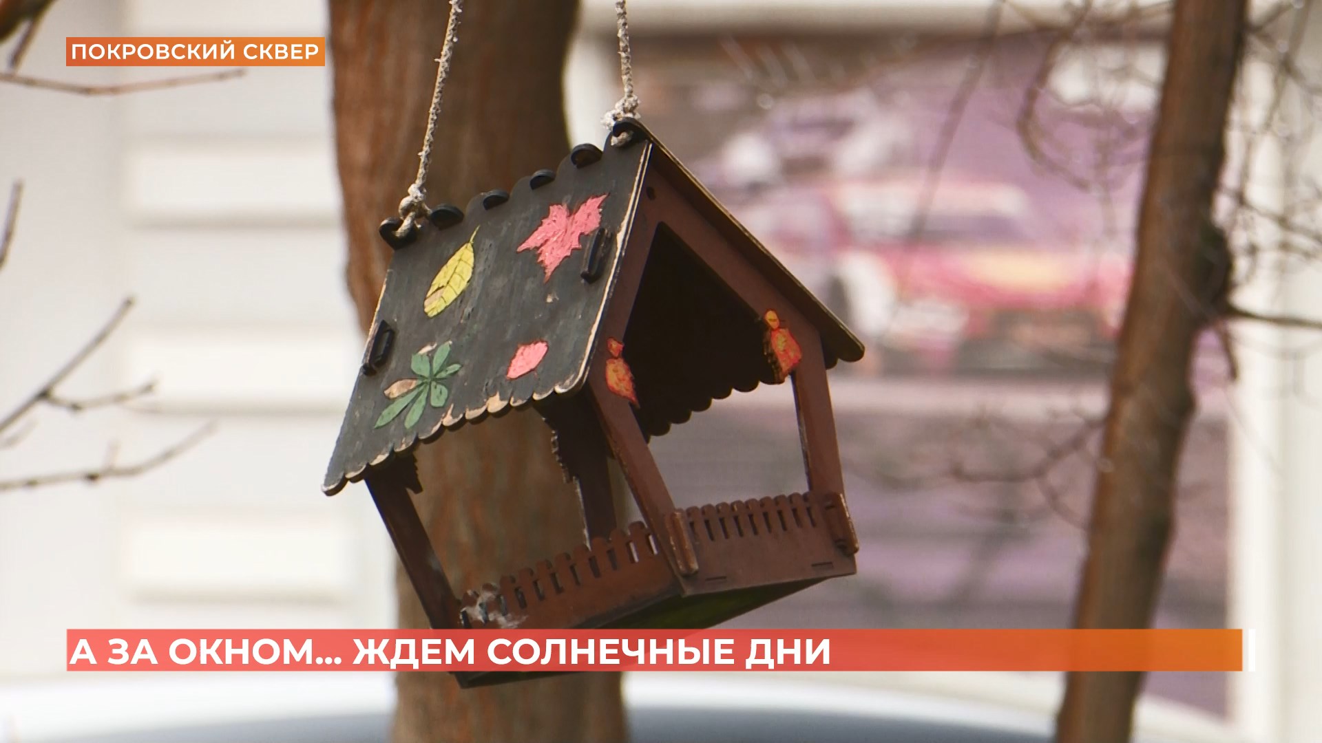 А за окном. 28 января 2025