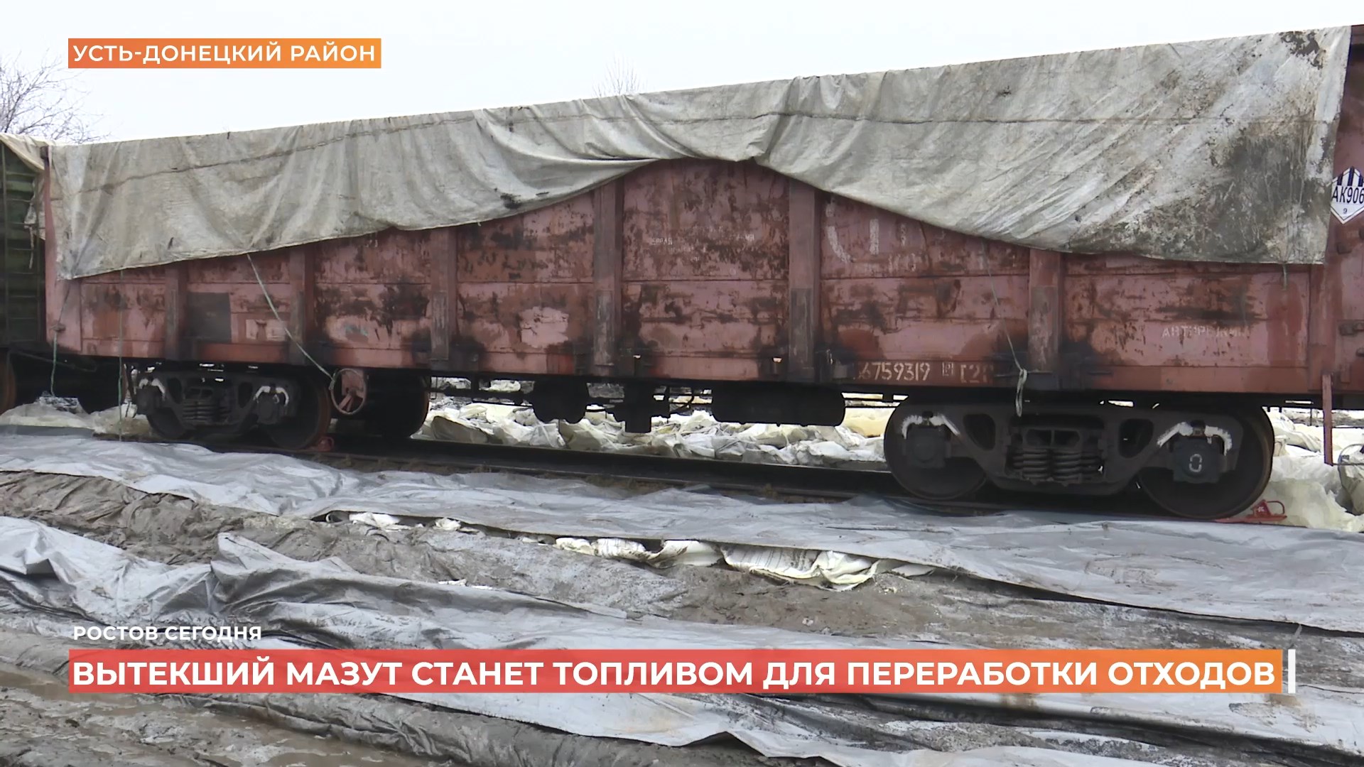 Ростов сегодня: дневной выпуск. 30 января 2025