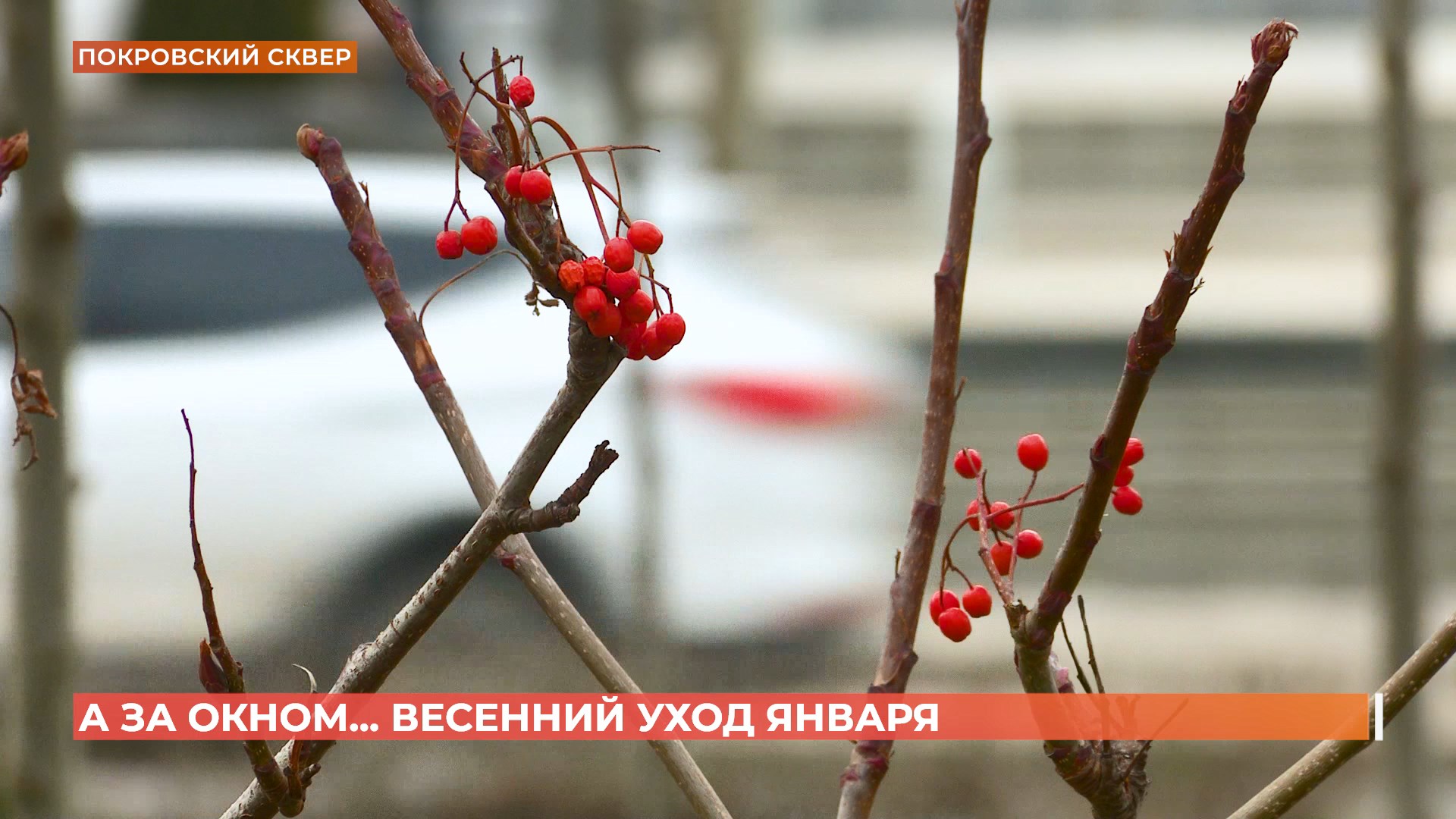 А за окном. 30 января 2025