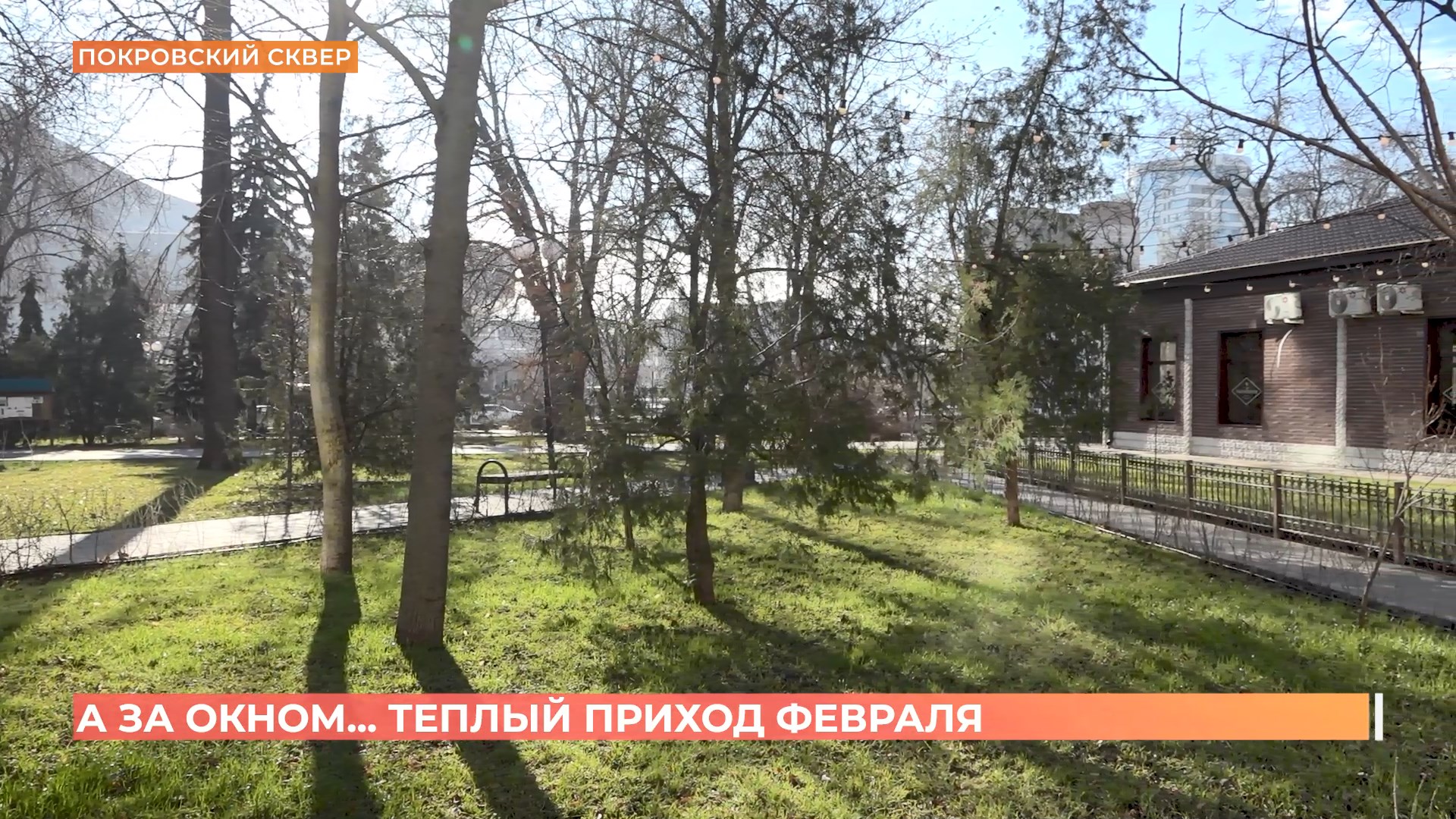 А за окном. 31 января 2025