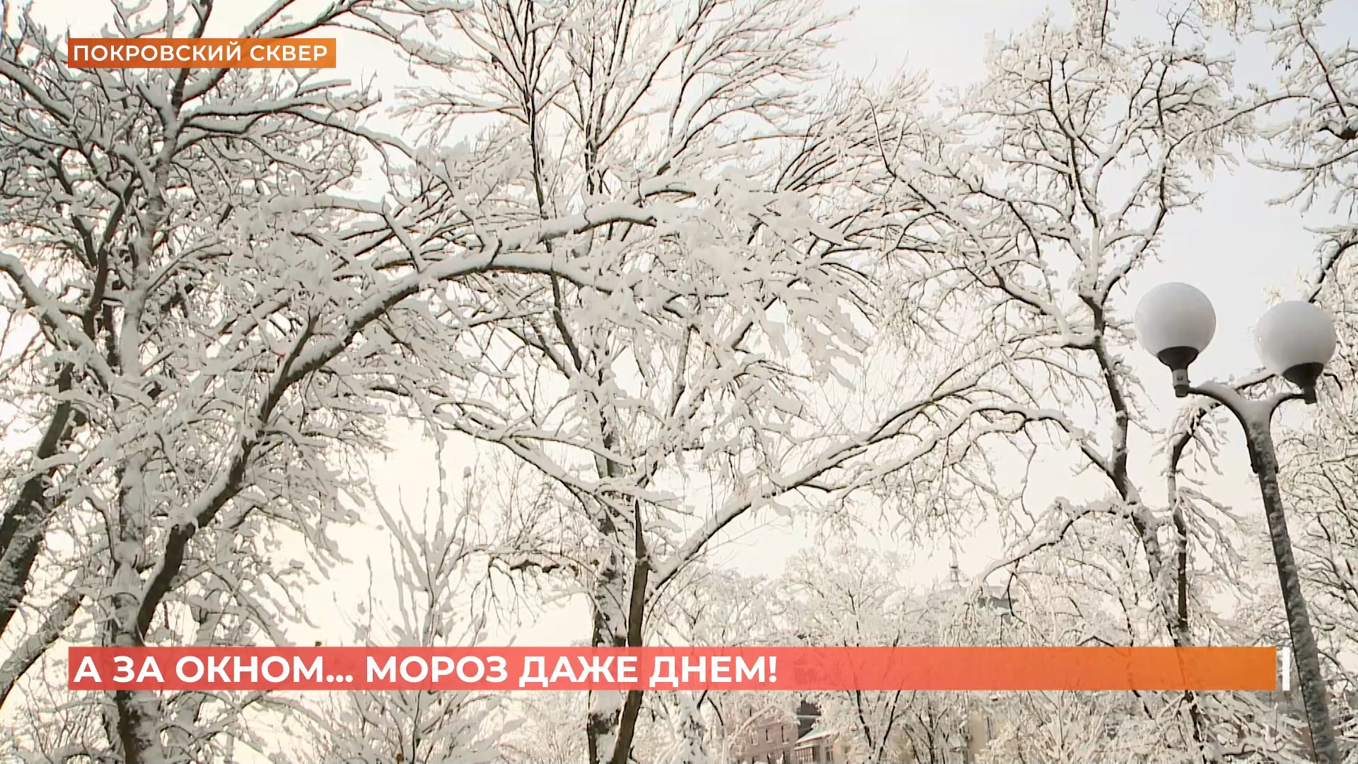 А за окном. 4 февраля 2025