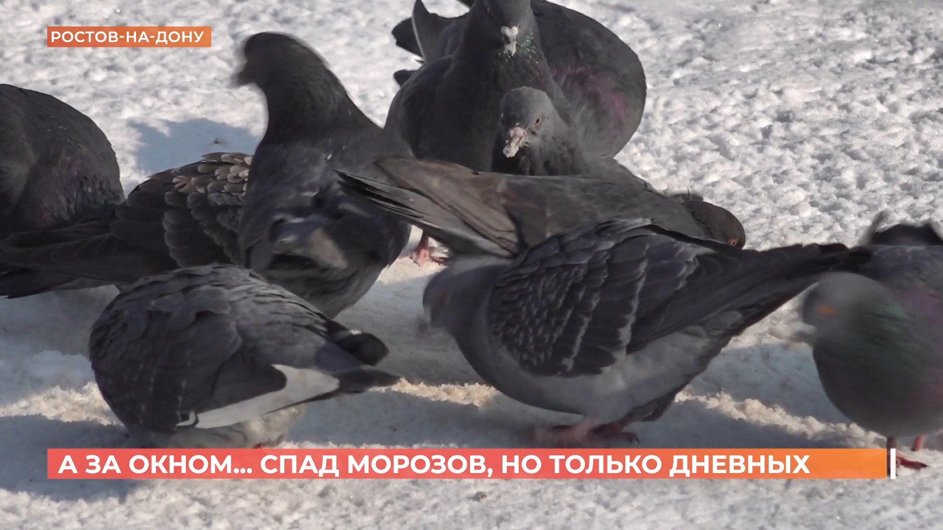 А за окном. 26 февраля 2025