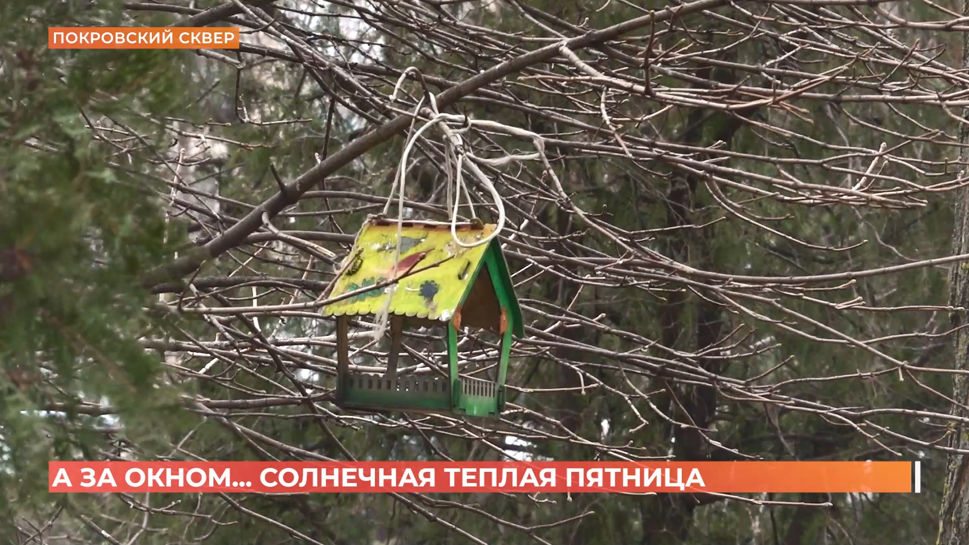 А за окном. 6 марта 2025