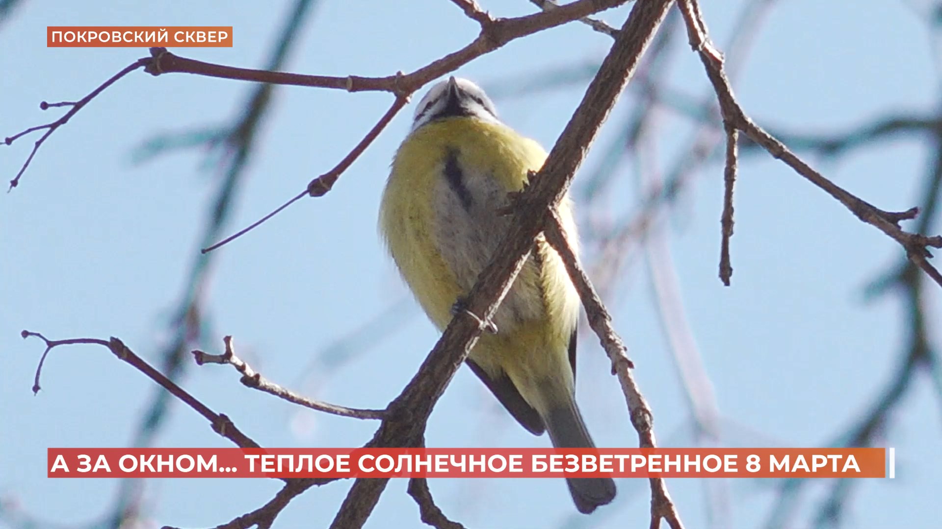 А за окном. 7 марта 2025