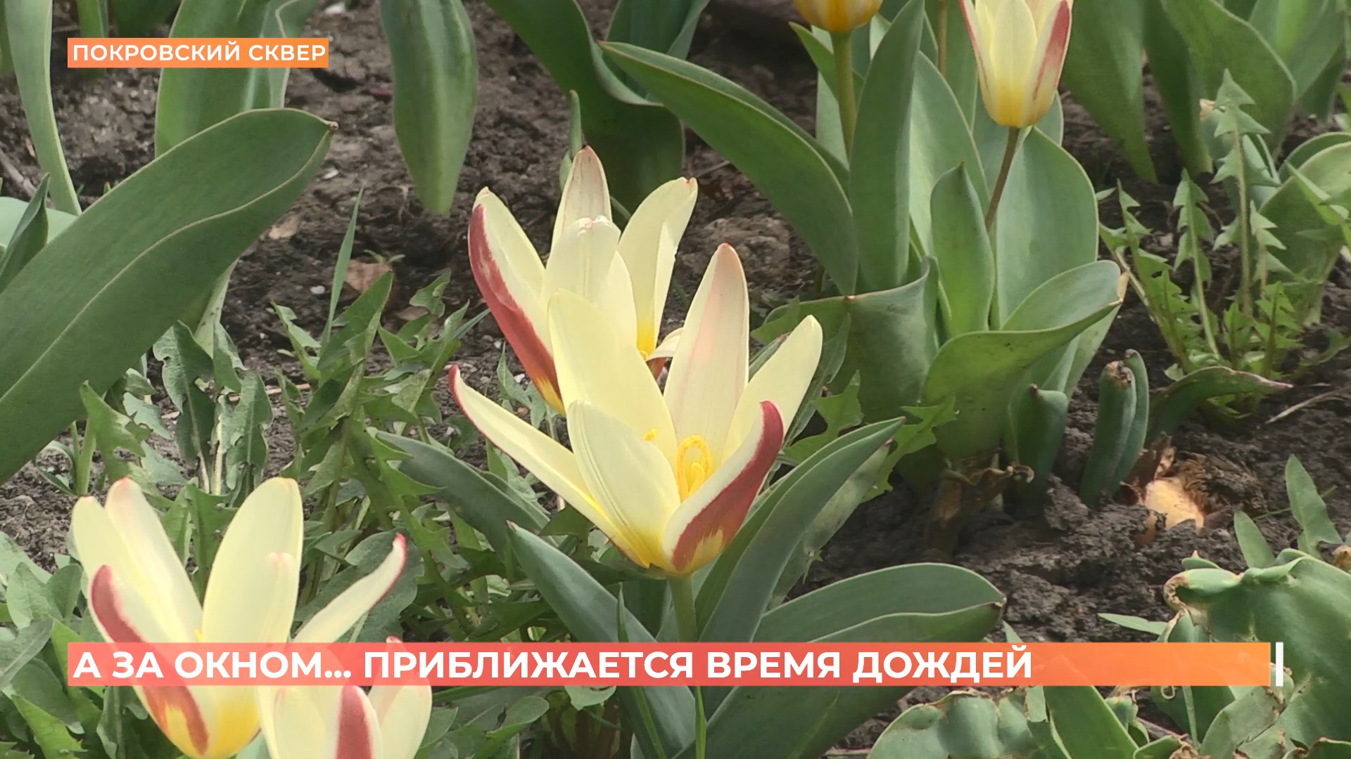 А за окном. 27 марта 2025