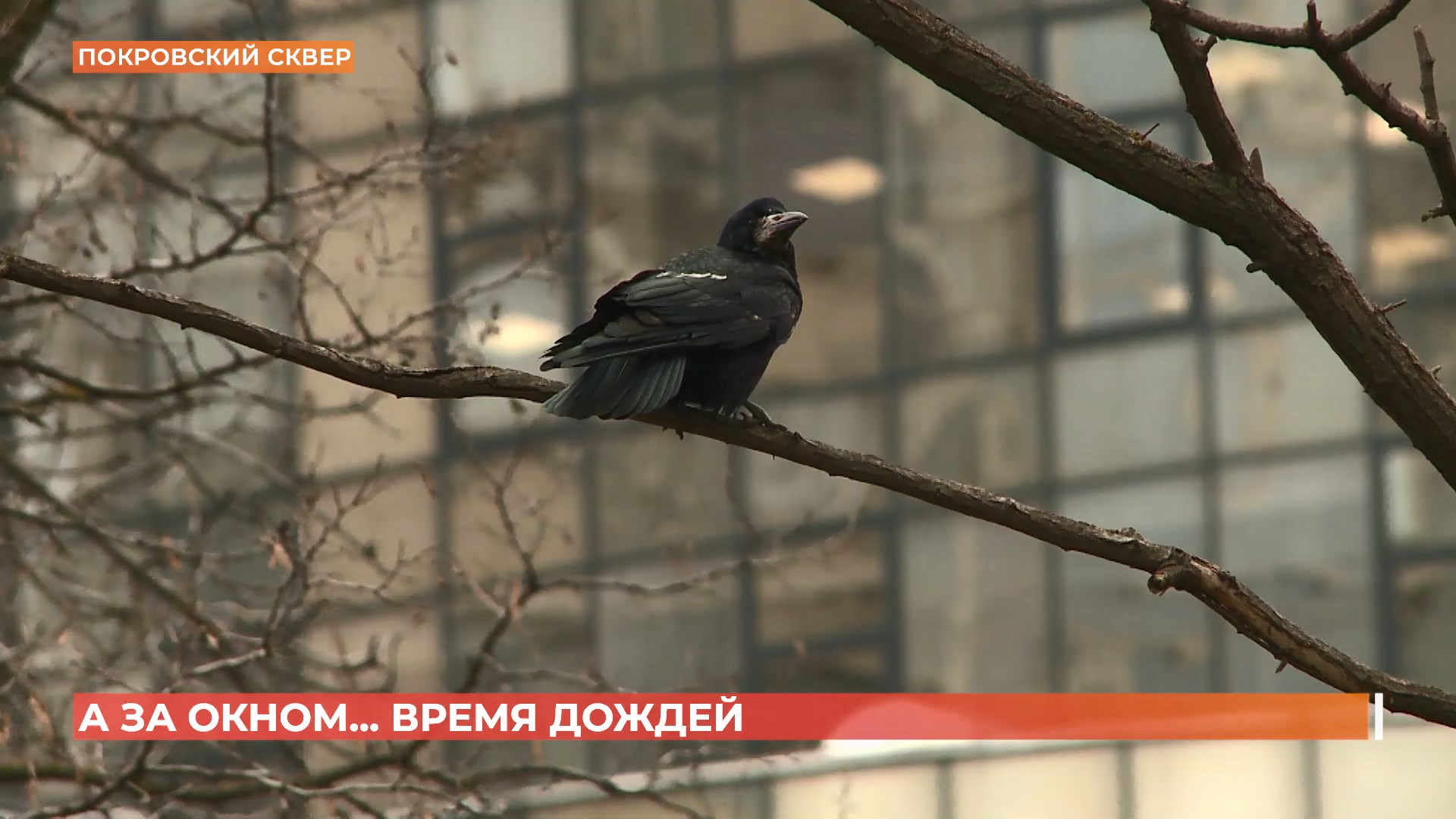 А за окном. 28 марта 2025