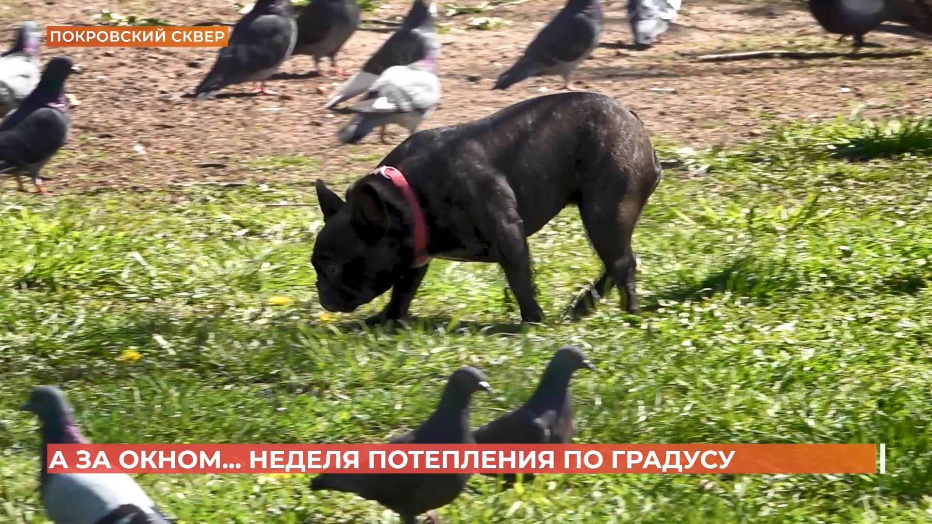 А за окном. 14 апреля 2025