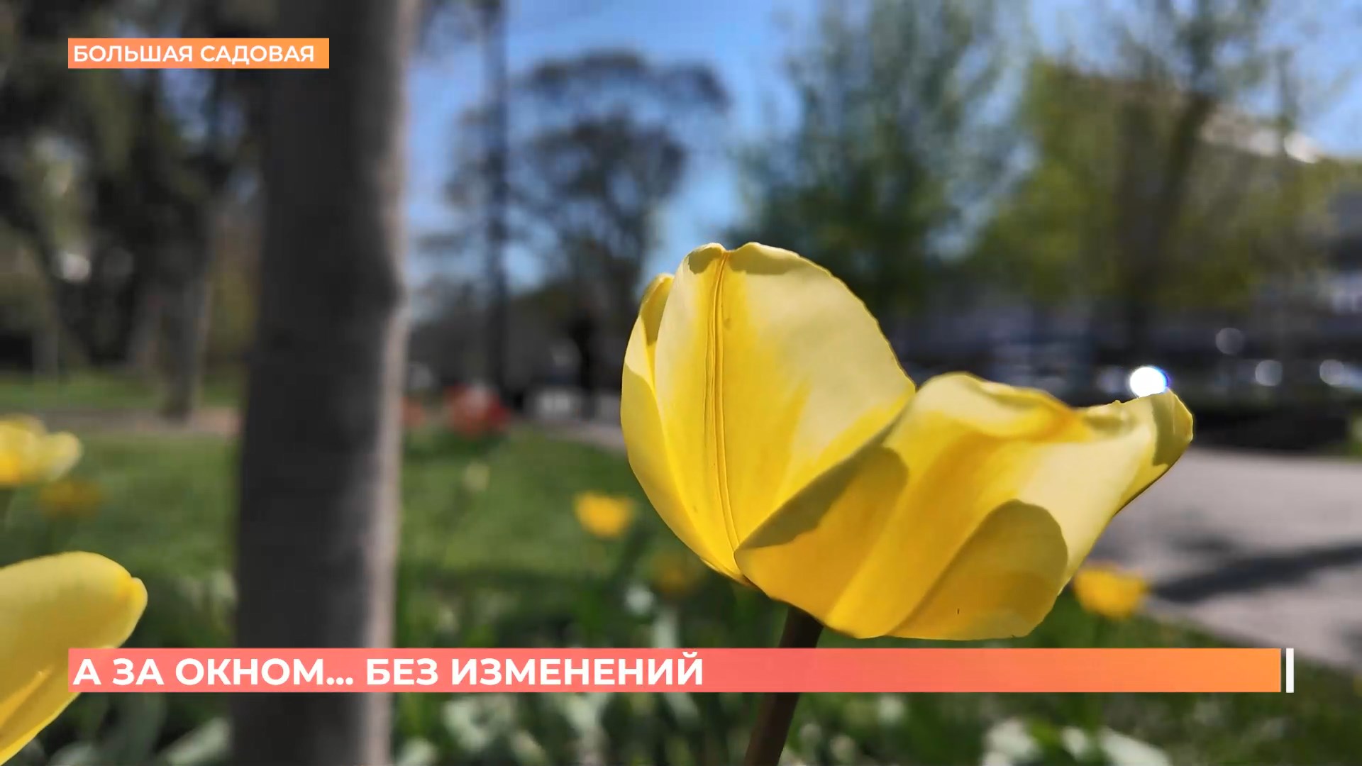 А за окном. 17 апреля 2025