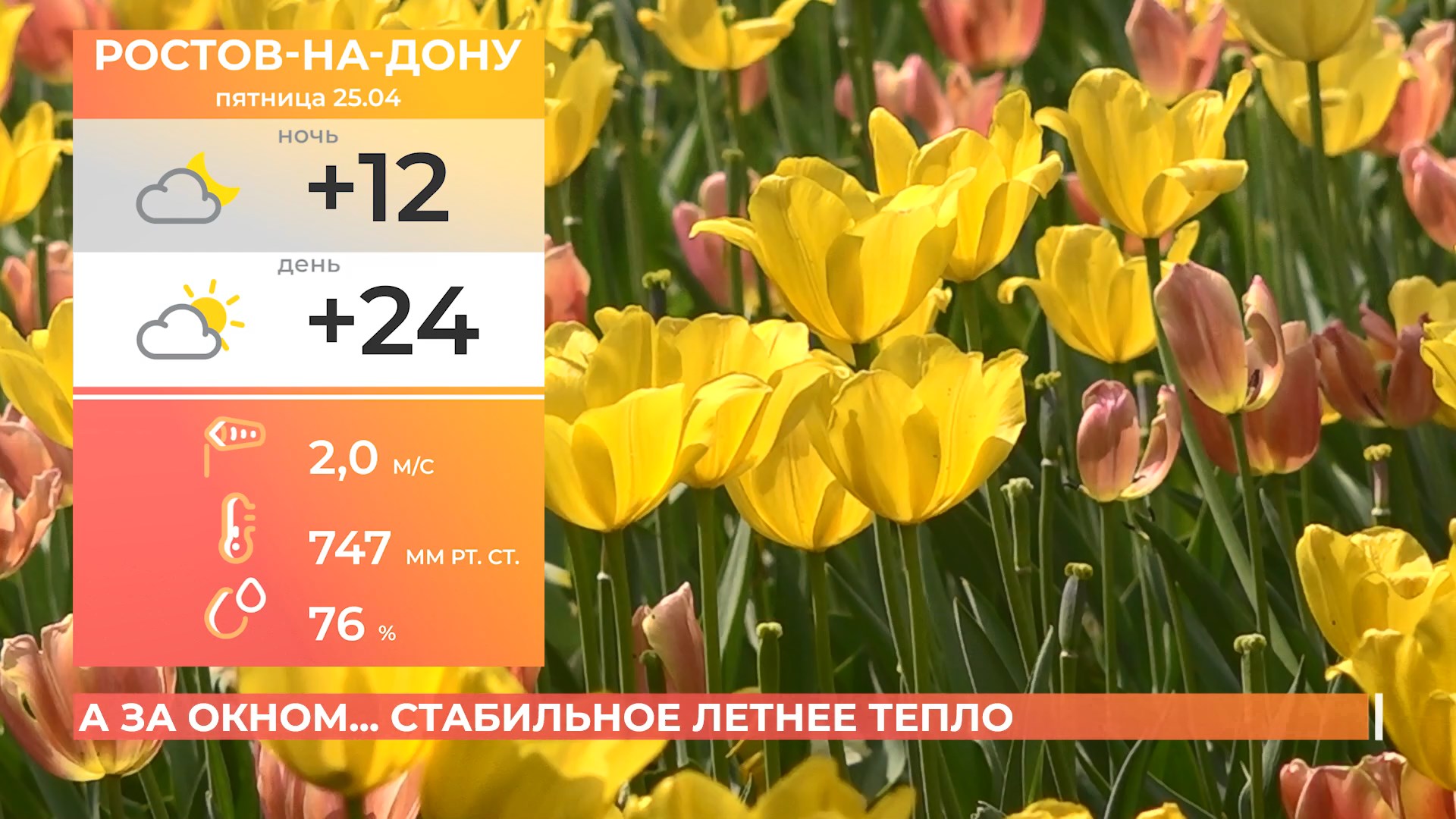 А за окном. 24 апреля 2025