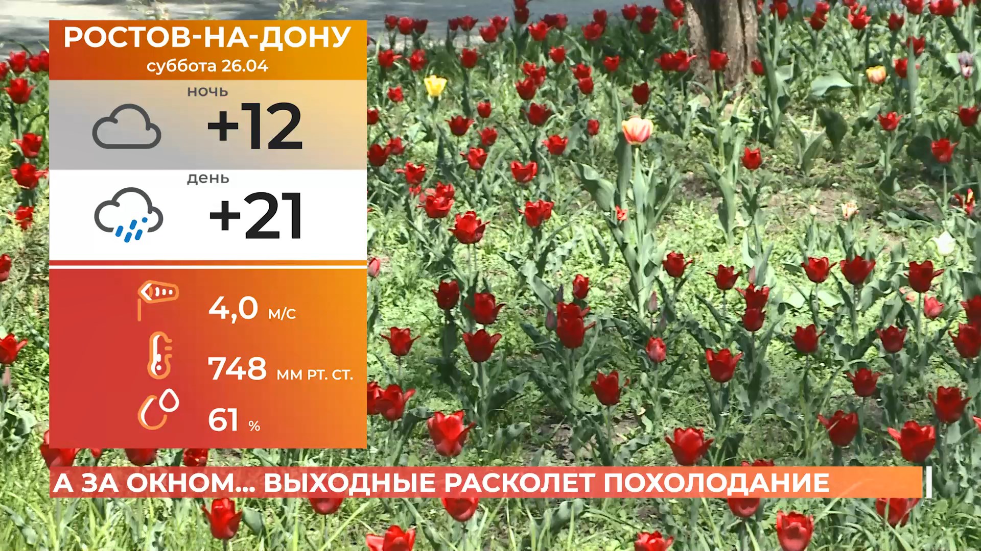 А за окном. 25 апреля 2025