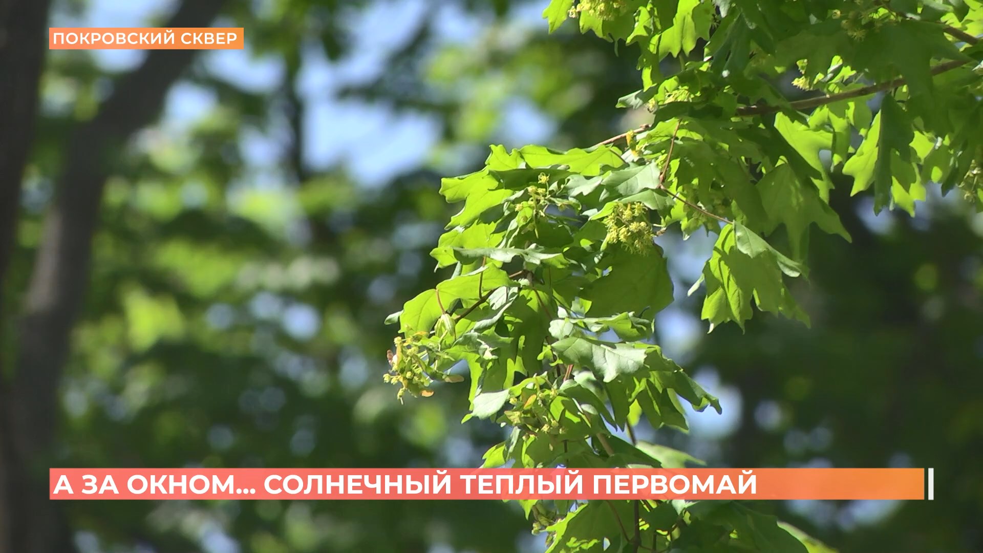 А за окном. 30 апреля 2025