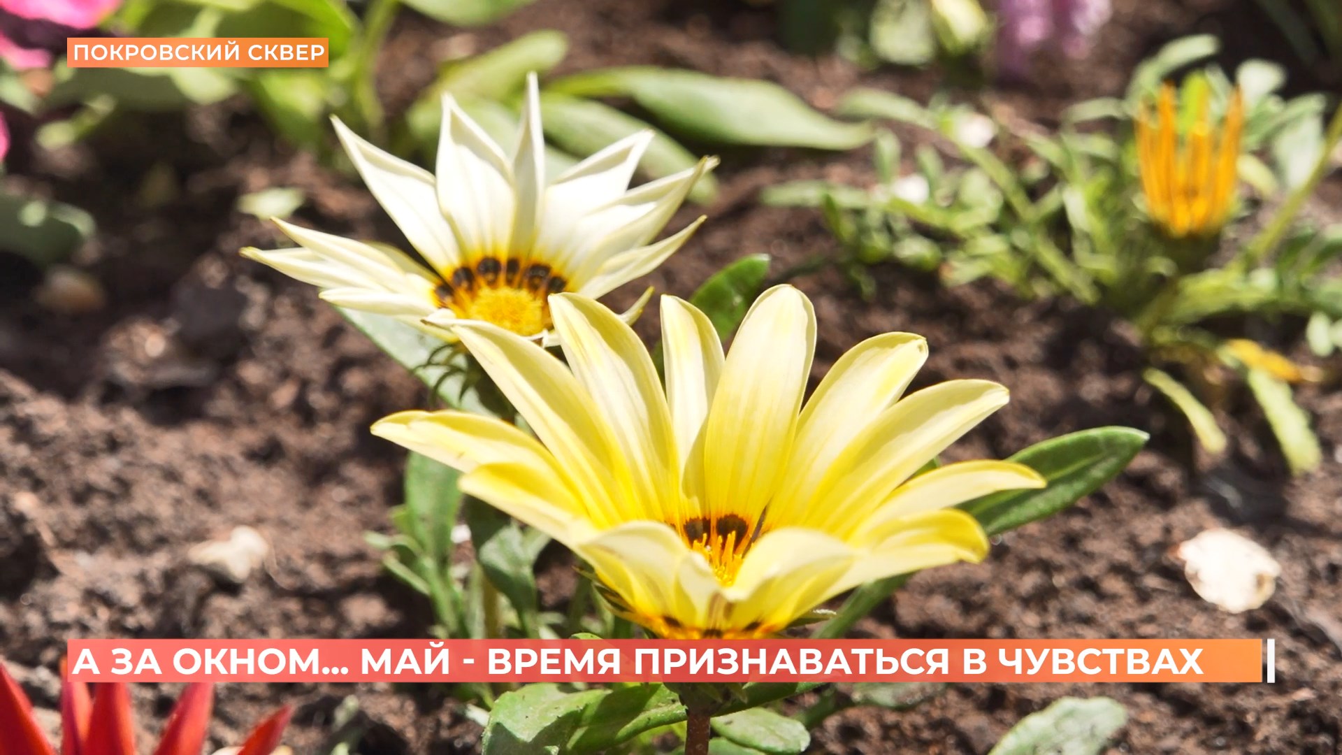 А за окном. 6 мая 2025