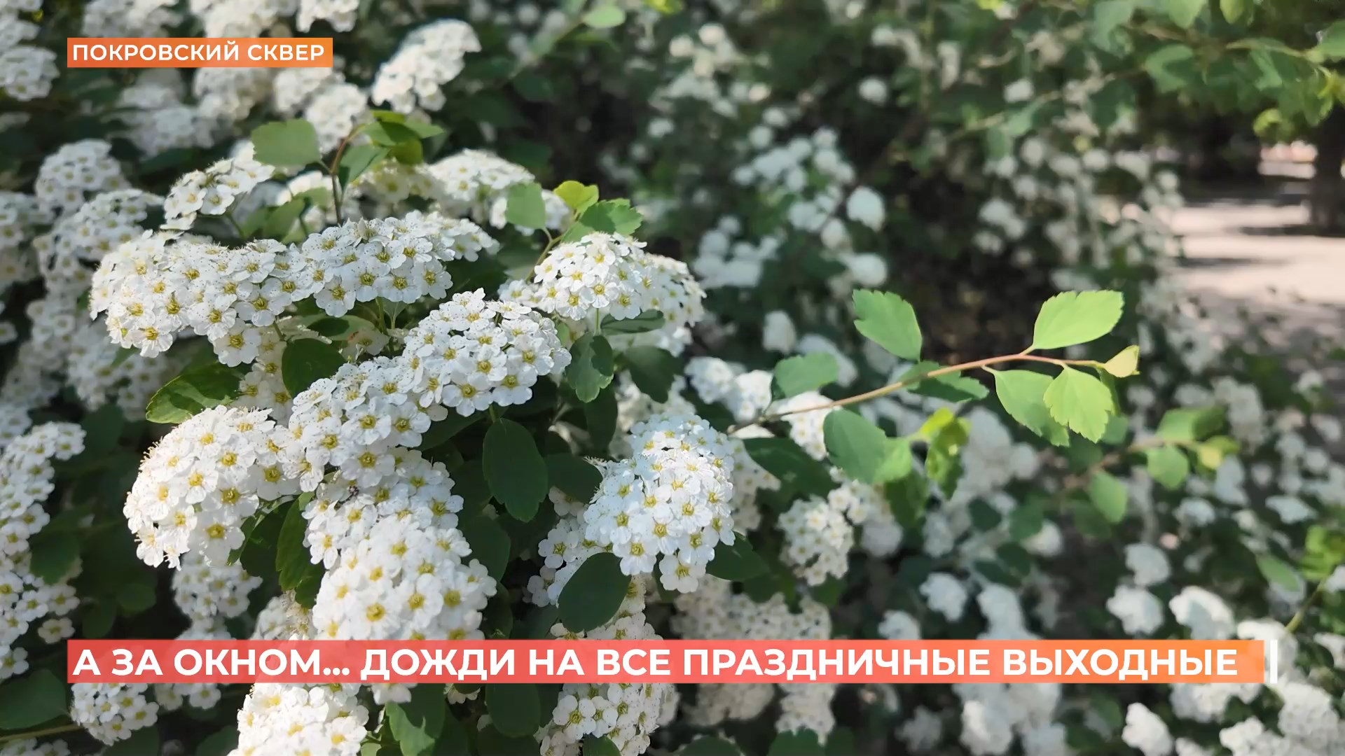 А за окном. 7 мая 2025