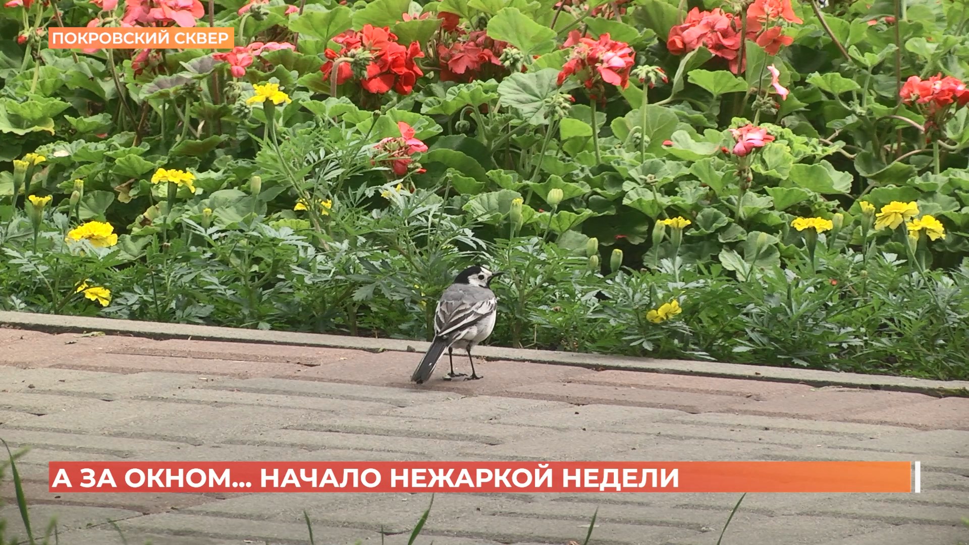 А за окном. 12 мая 2025