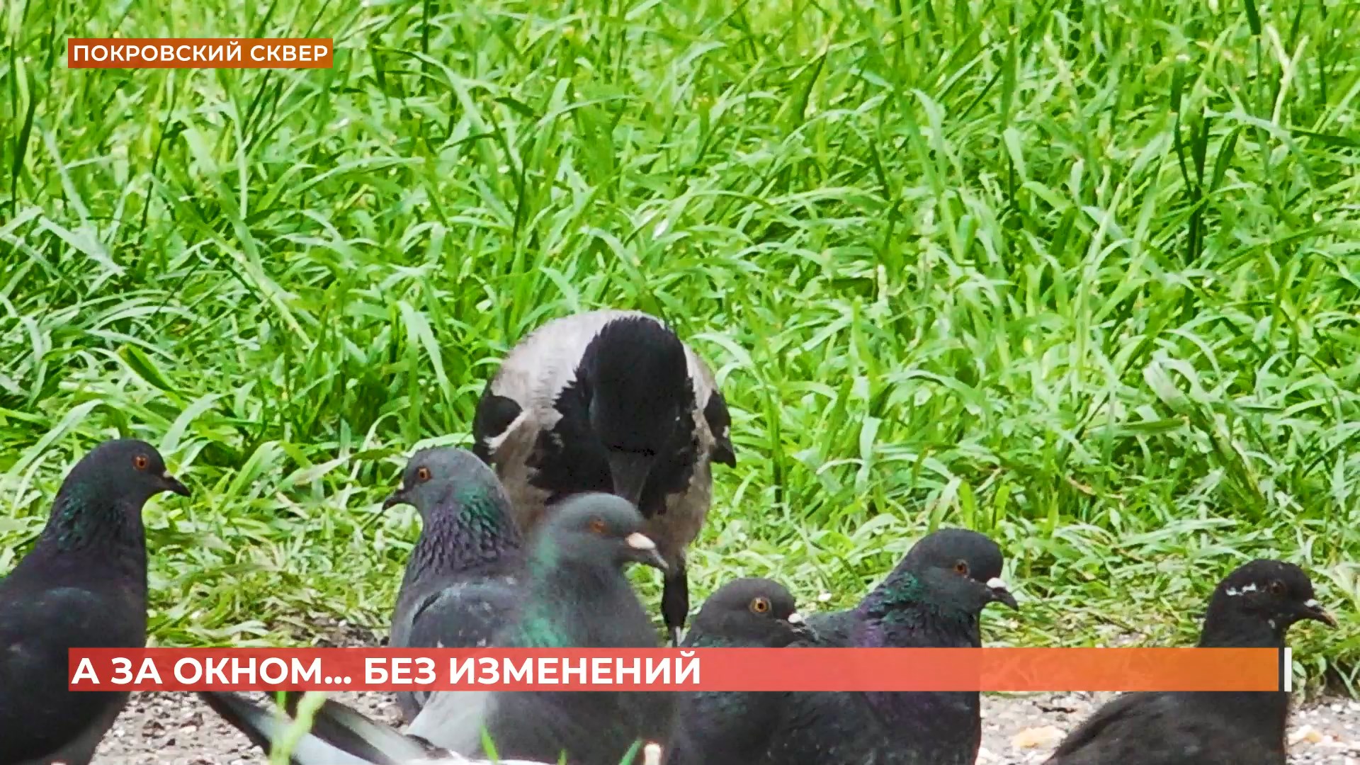 А за окном. 13 мая 2025