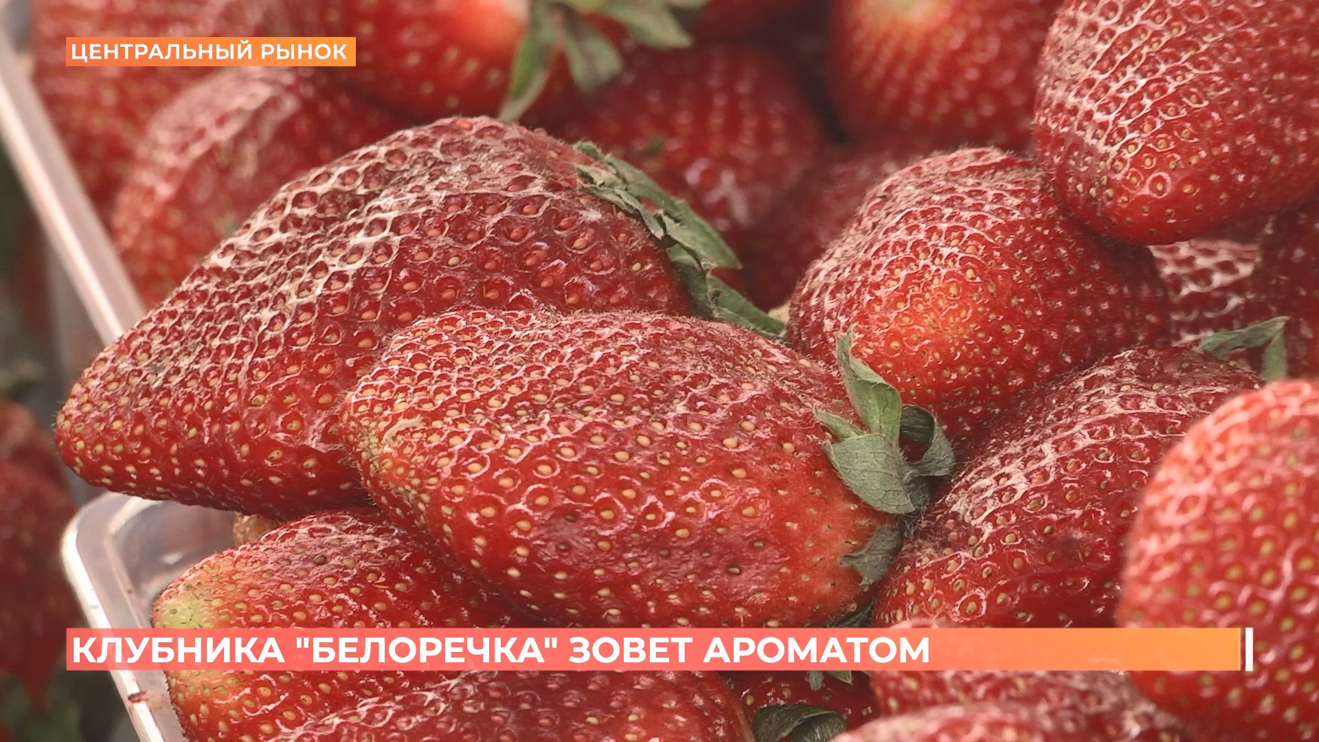 Старый базар. 17 мая 2025