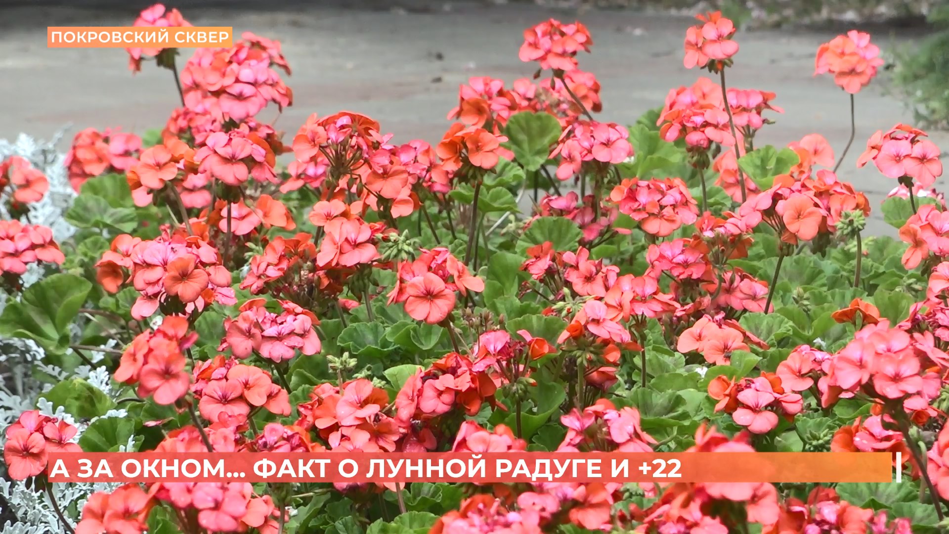 А за окном. 15 мая 2025