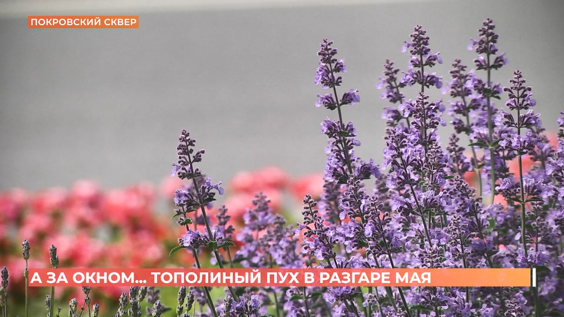 А за окном. 16 мая 2025