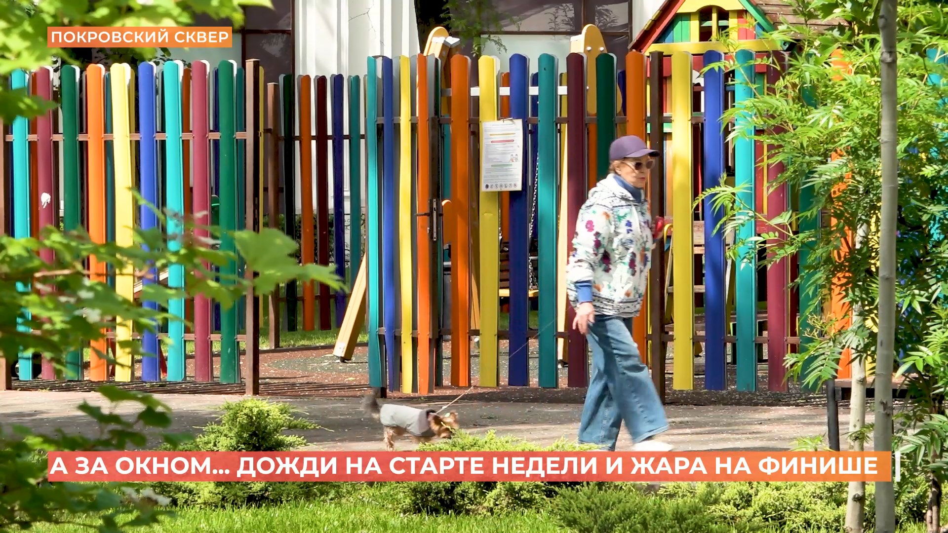 А за окном. 19 мая 2025