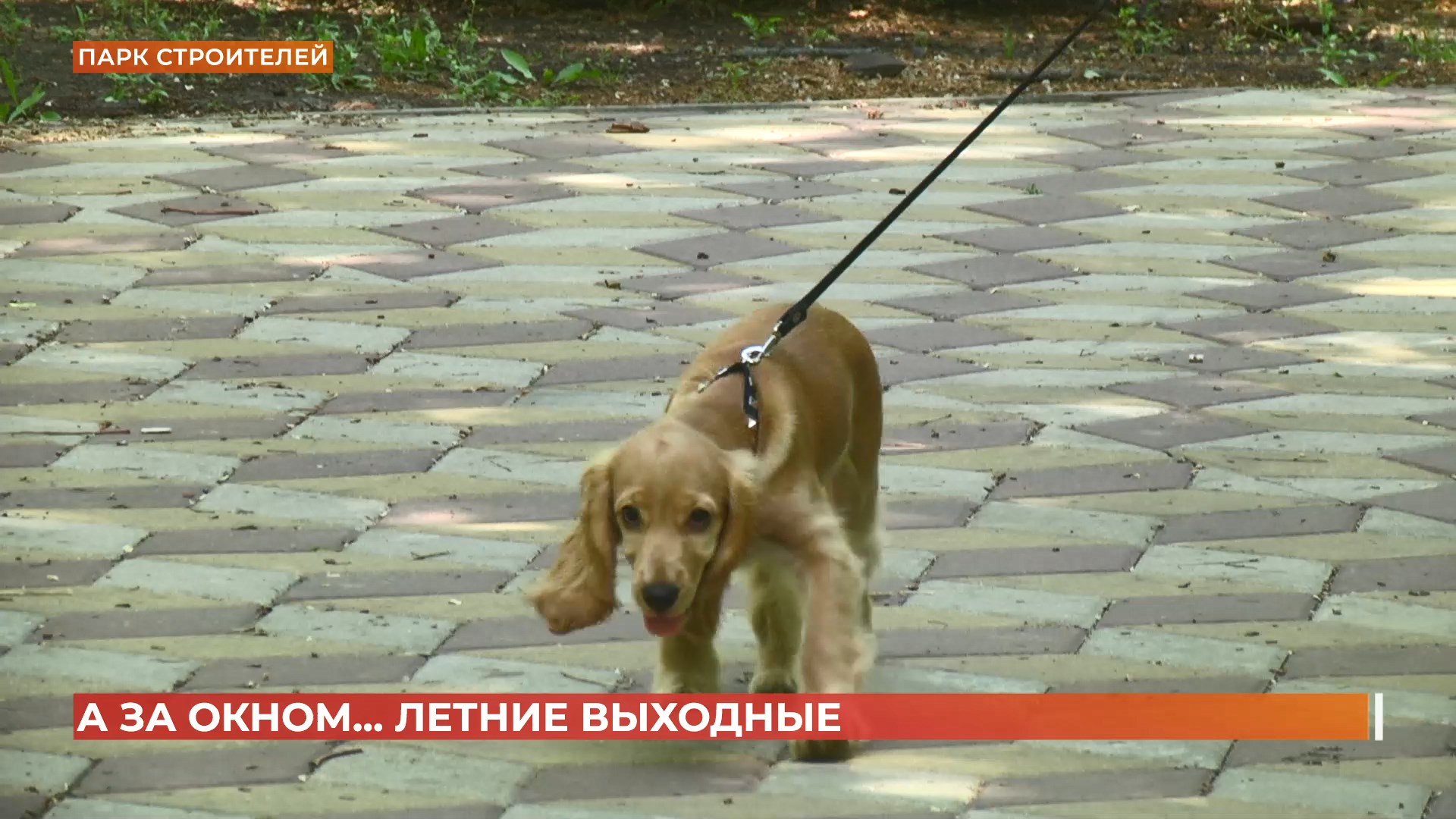 А за окном. 23 мая 2025