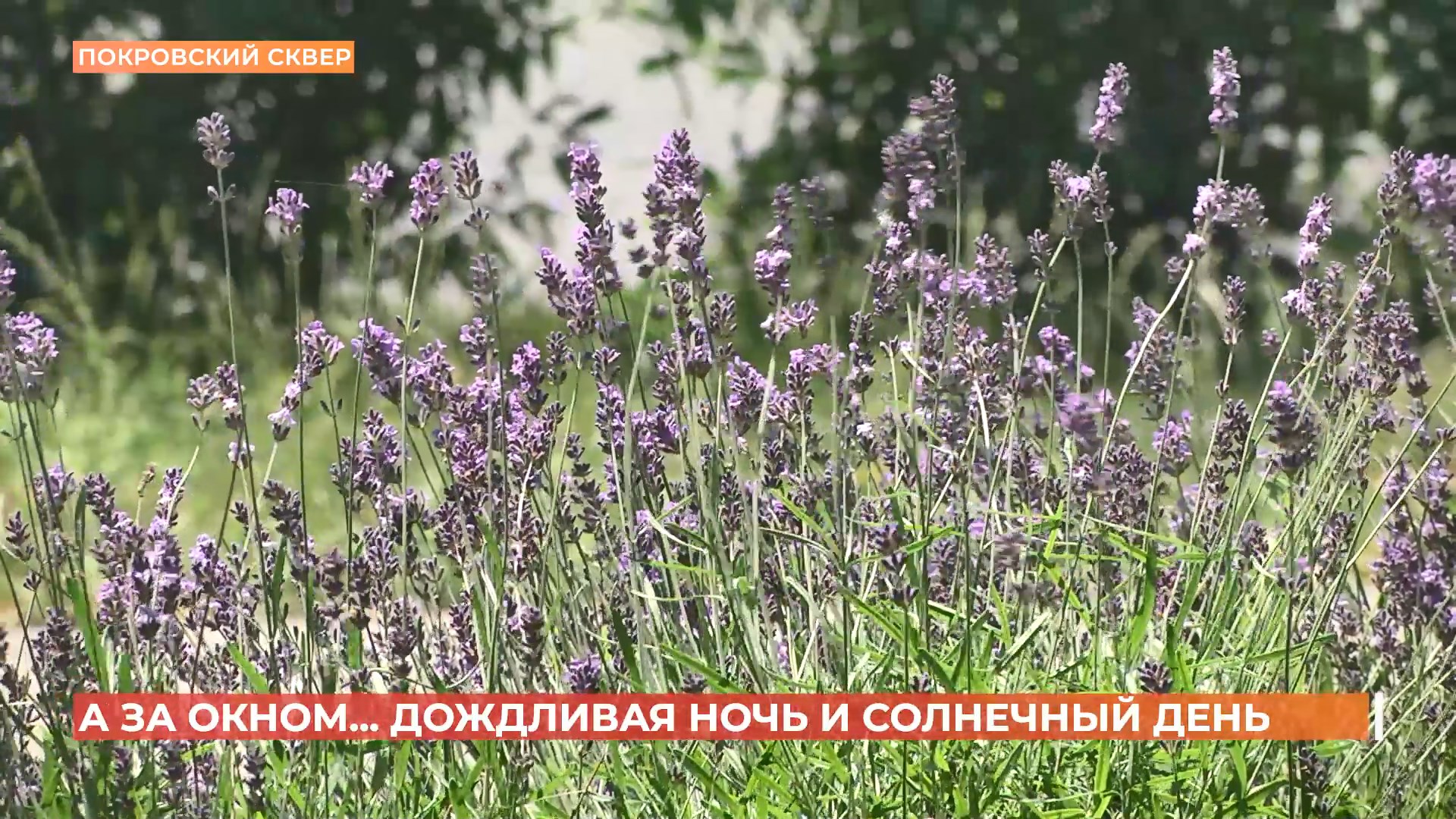 А за окном. 4 июня 2025