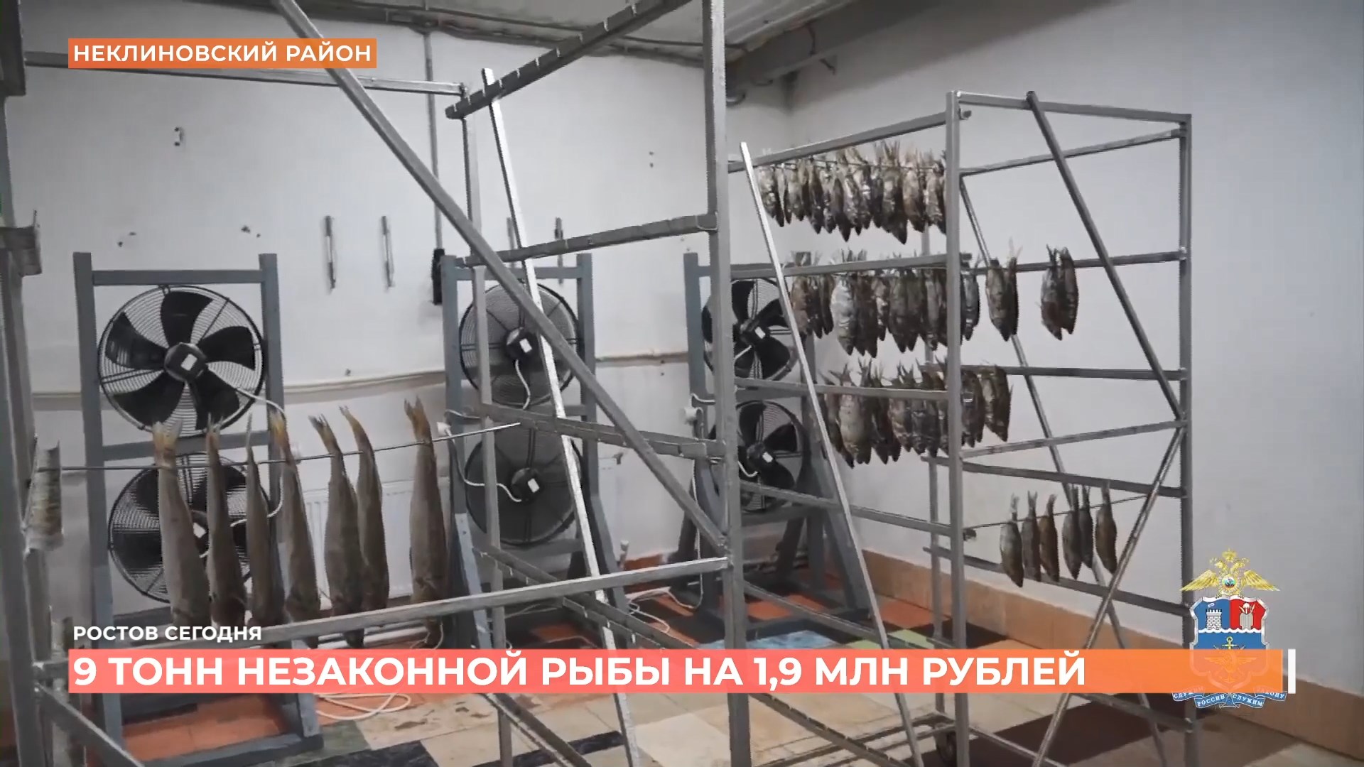 Ростов сегодня: дневной выпуск. 10 июня 2025
