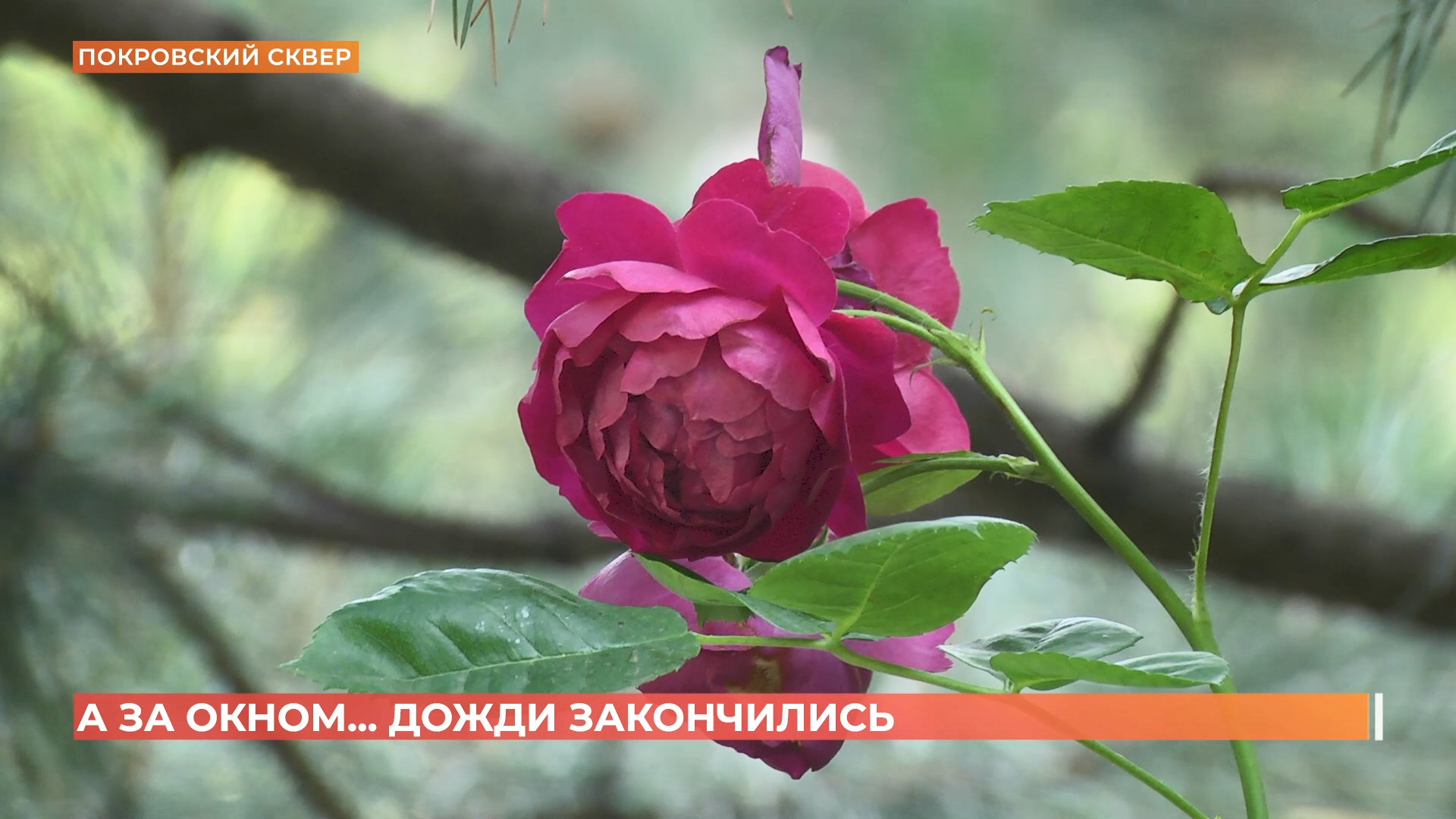А за окном. 10 июня 2025