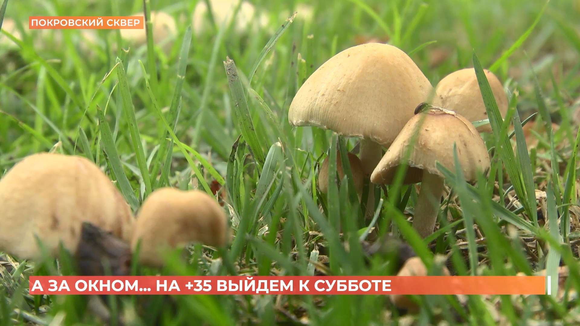 А за окном. 30 июня 2025