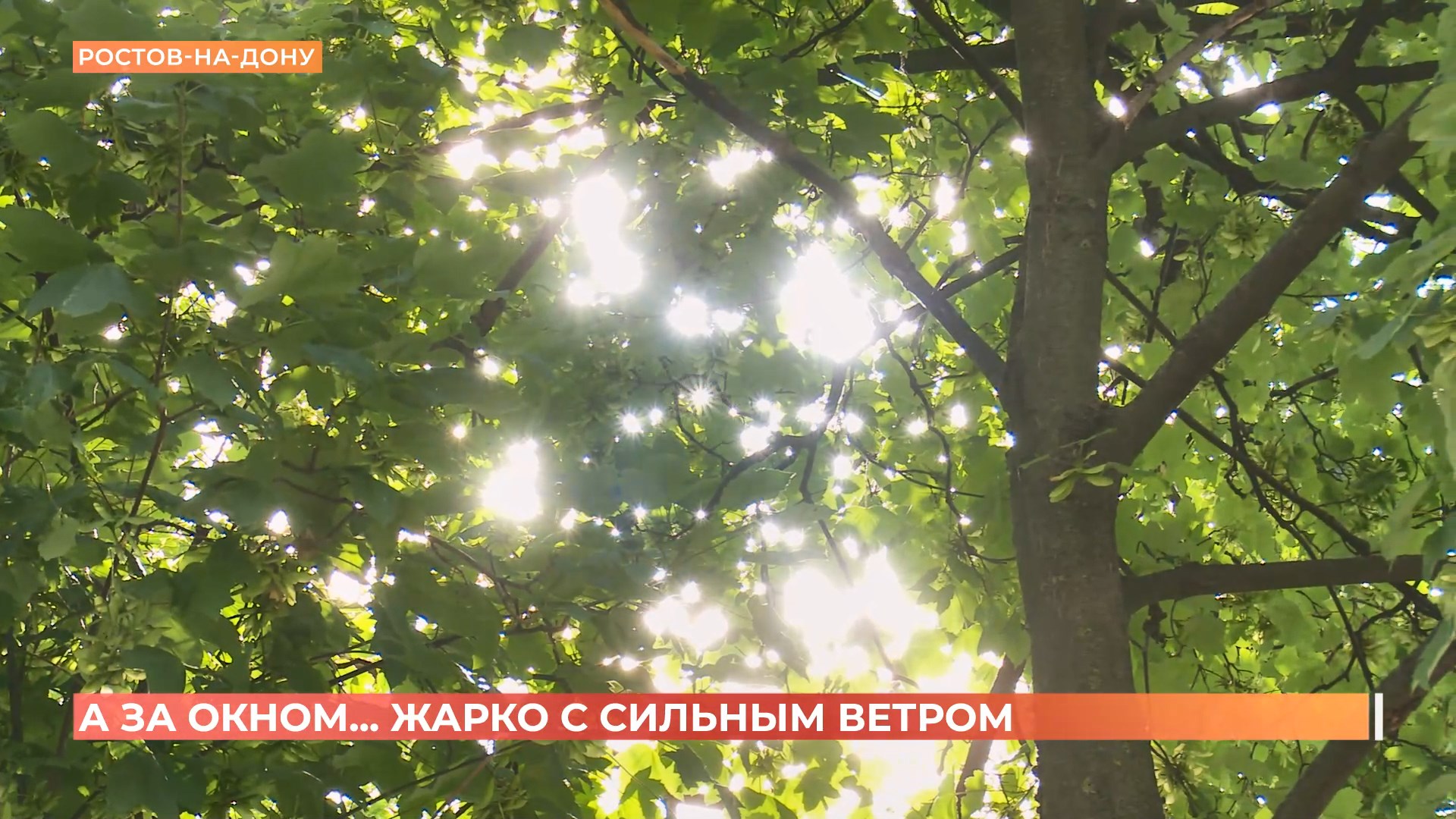 А за окном. 8 июля 2025