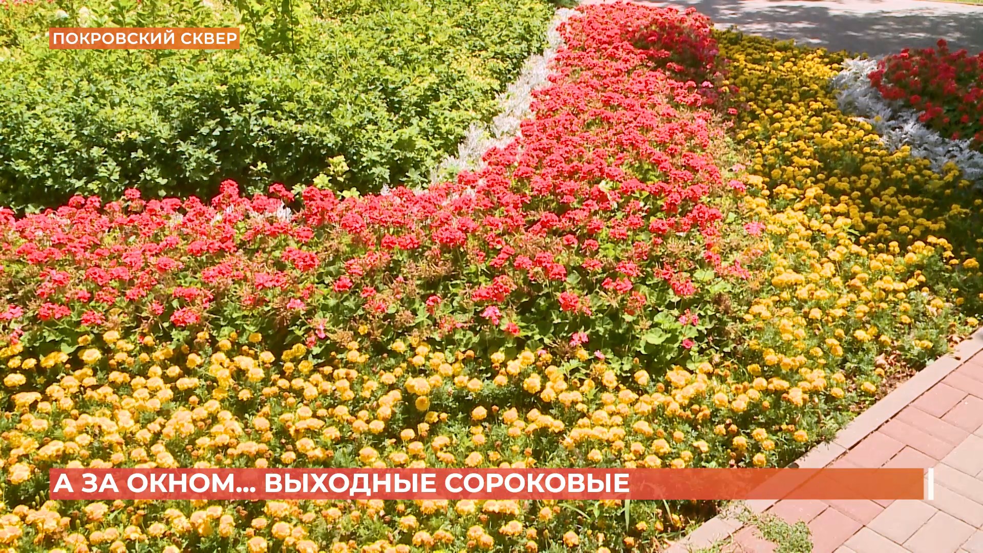 А за окном. 11 июля 2025