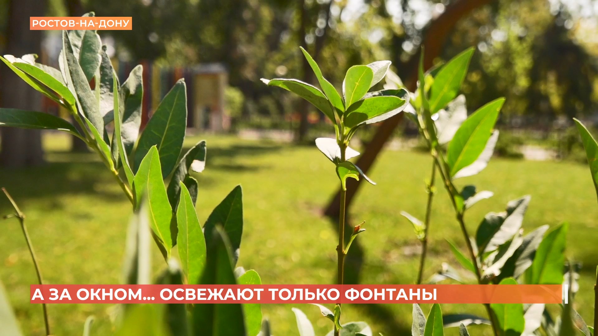 А за окном. 15 июля 2025