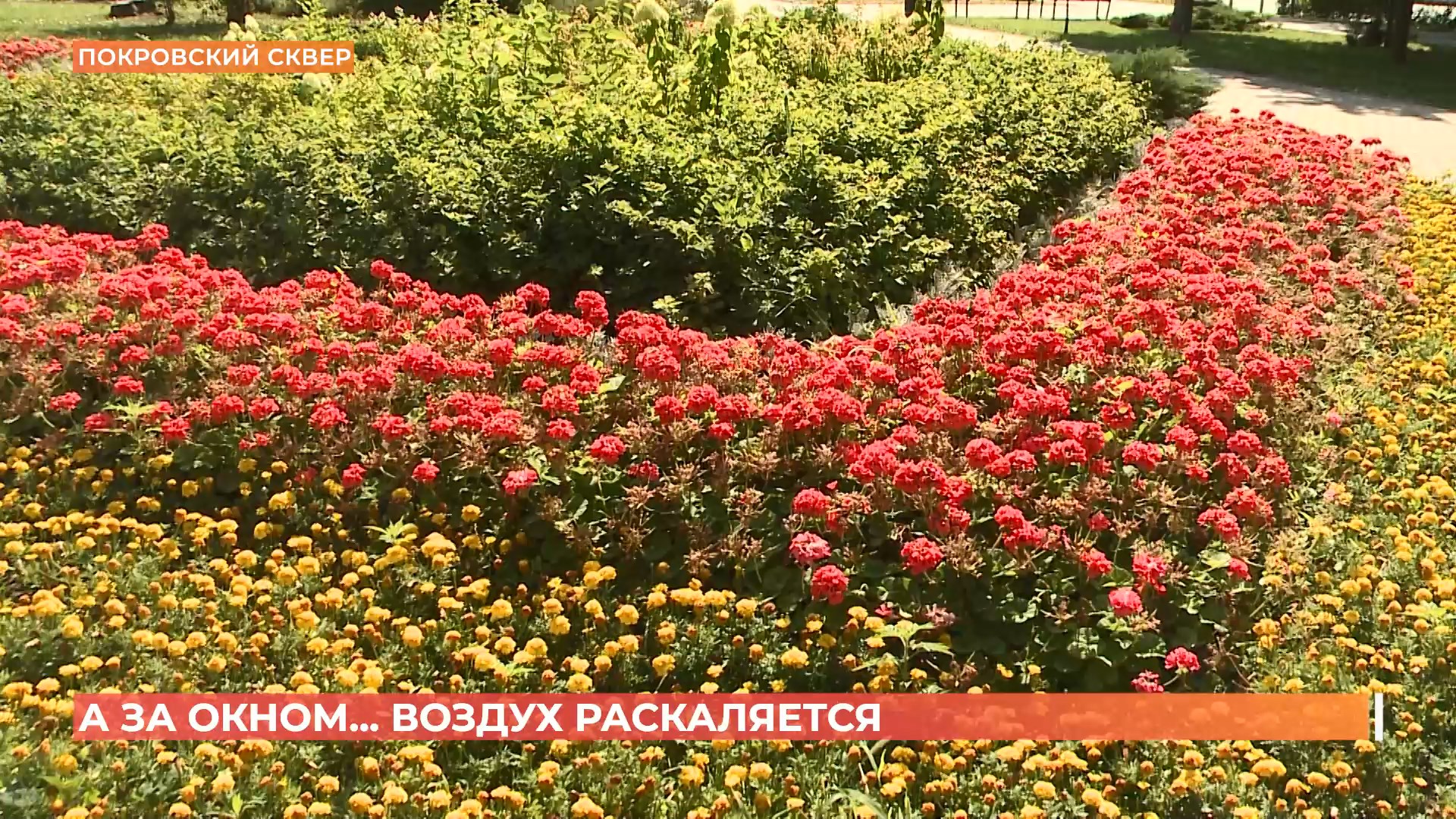 А за окном. 17 июля 2025