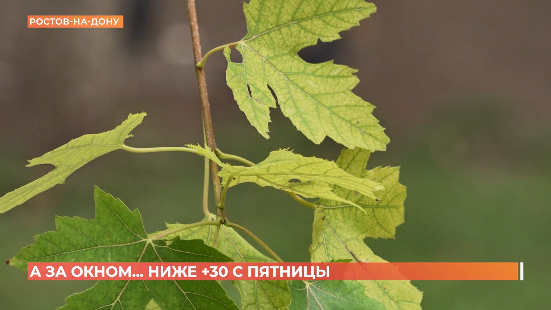 А за окном. 4 августа 2025