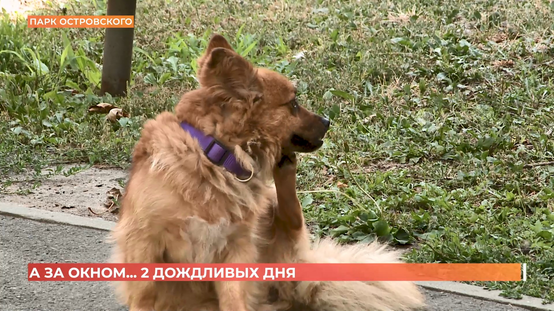 А за окном. 7 июля 2025