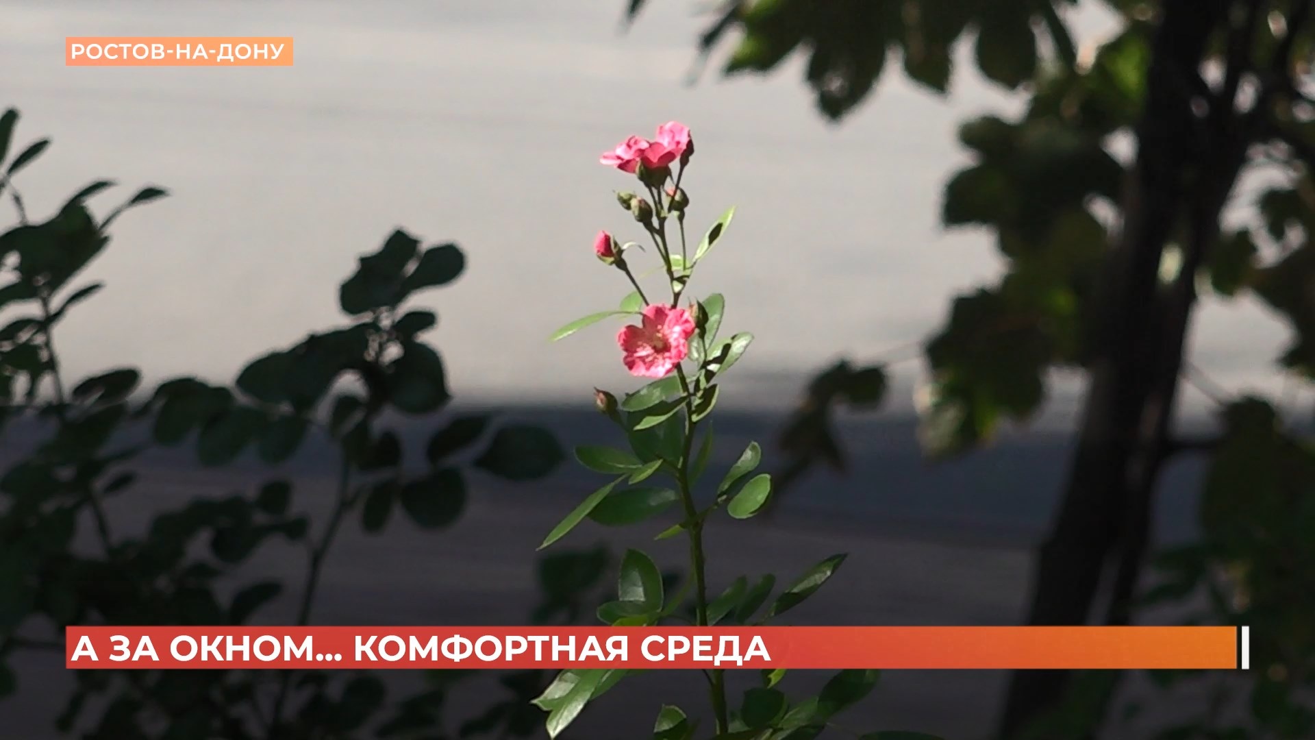 А за окном. 12 августа 2025