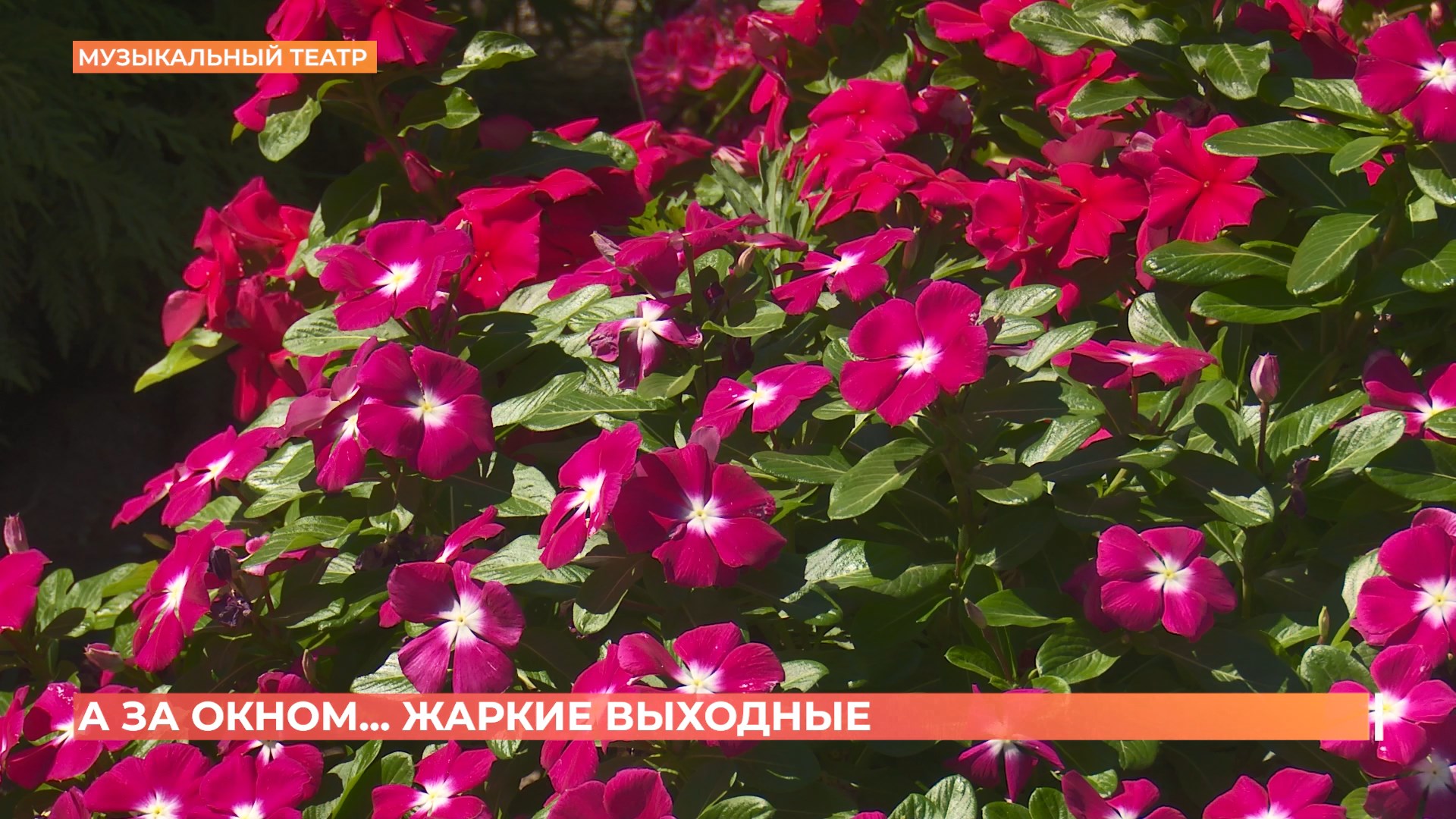 А за окном. 15 августа 2025