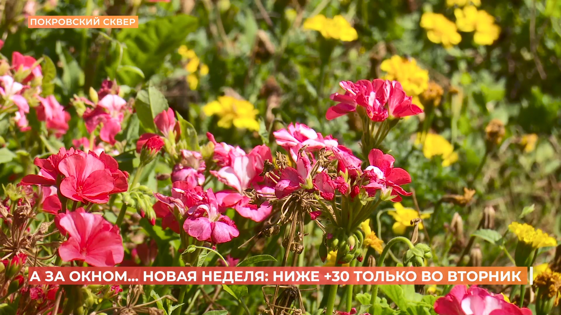 А за окном. 18 августа 2025