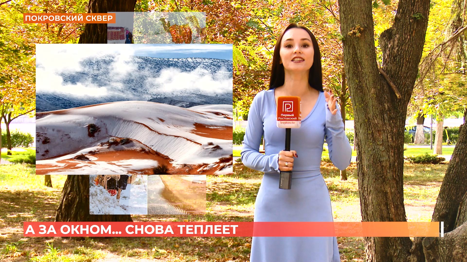 А за окном. 26 августа 2025