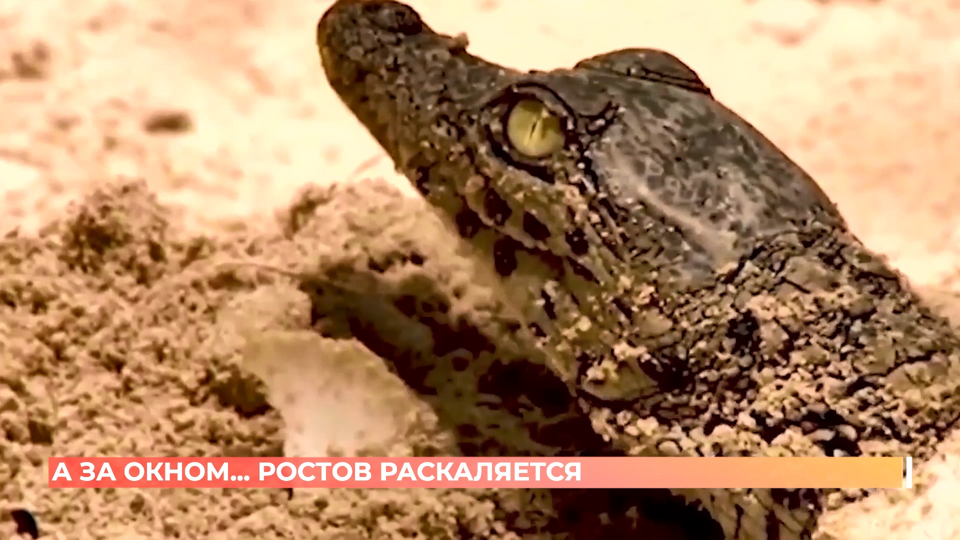 А за окном. 28 августа 2025