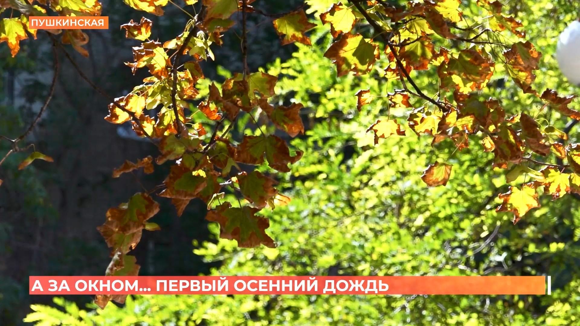 А за окном. 1 сентября 2025