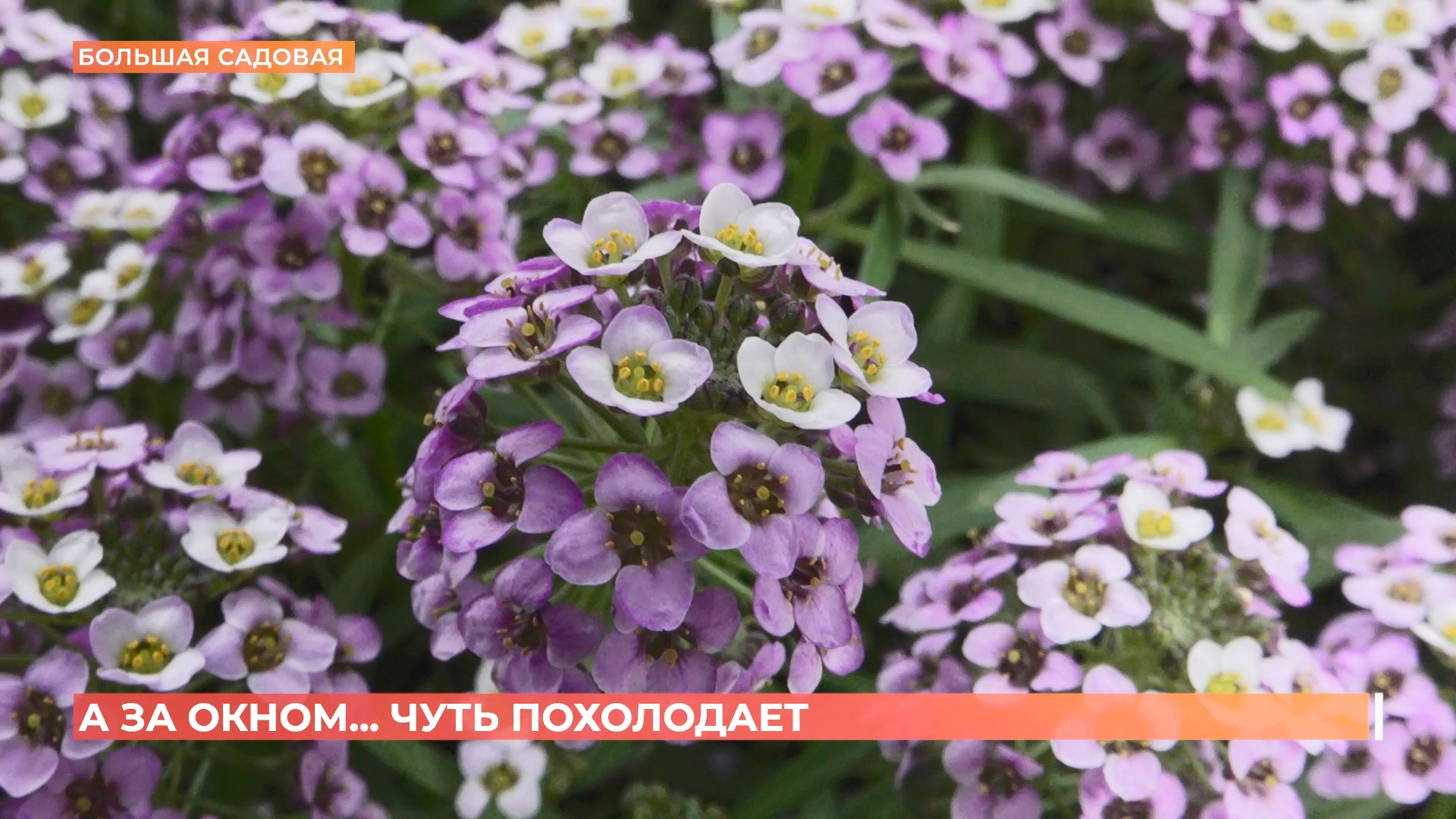 А за окном. 9 сентября 2025