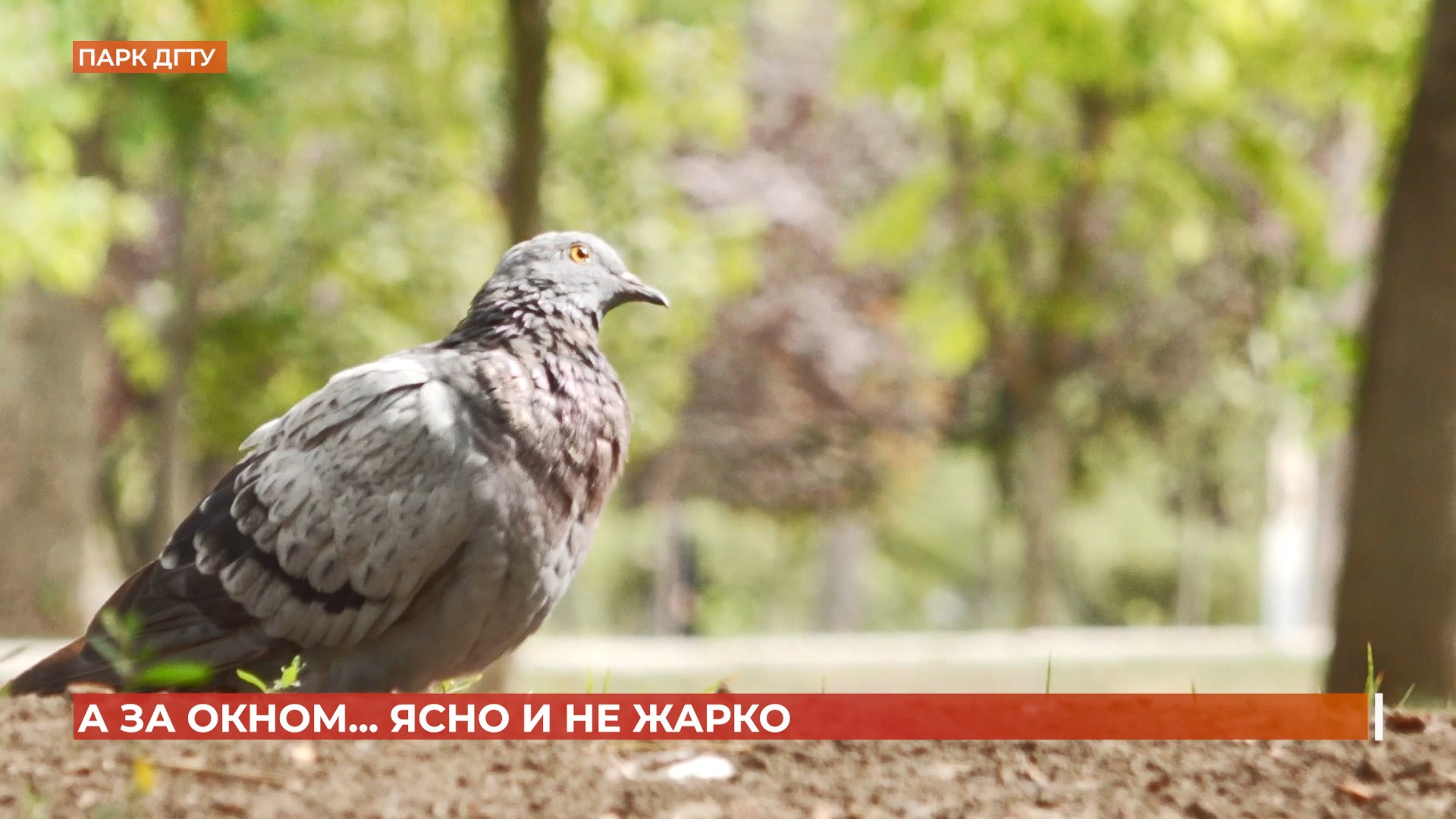 А за окном. 10 сентября 2025