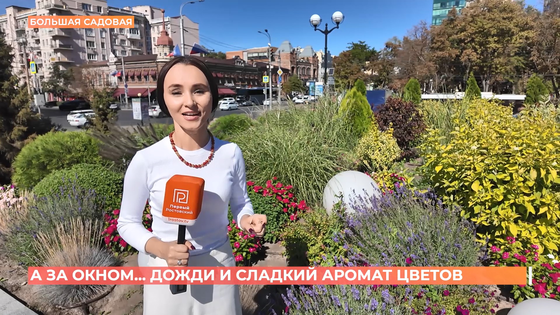 А за окном. 17 сентября 2025