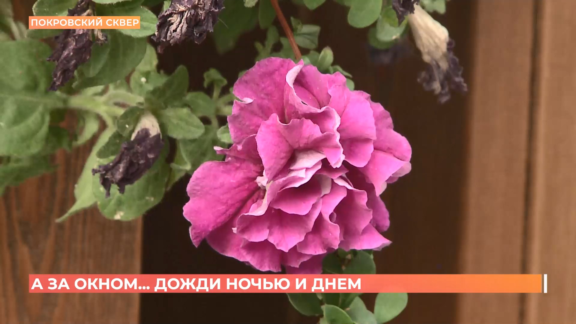 А за окном. 18 сентября 2025