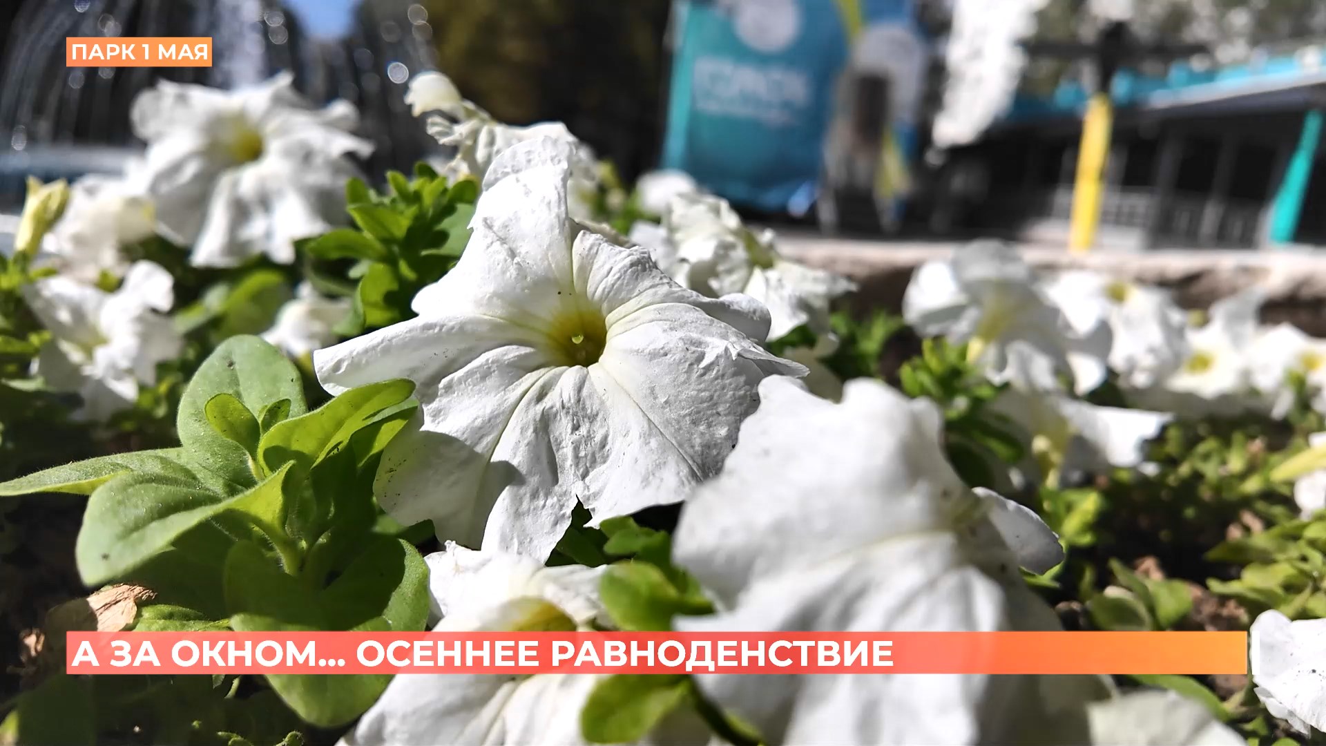 А за окном. 22 сентября 2025