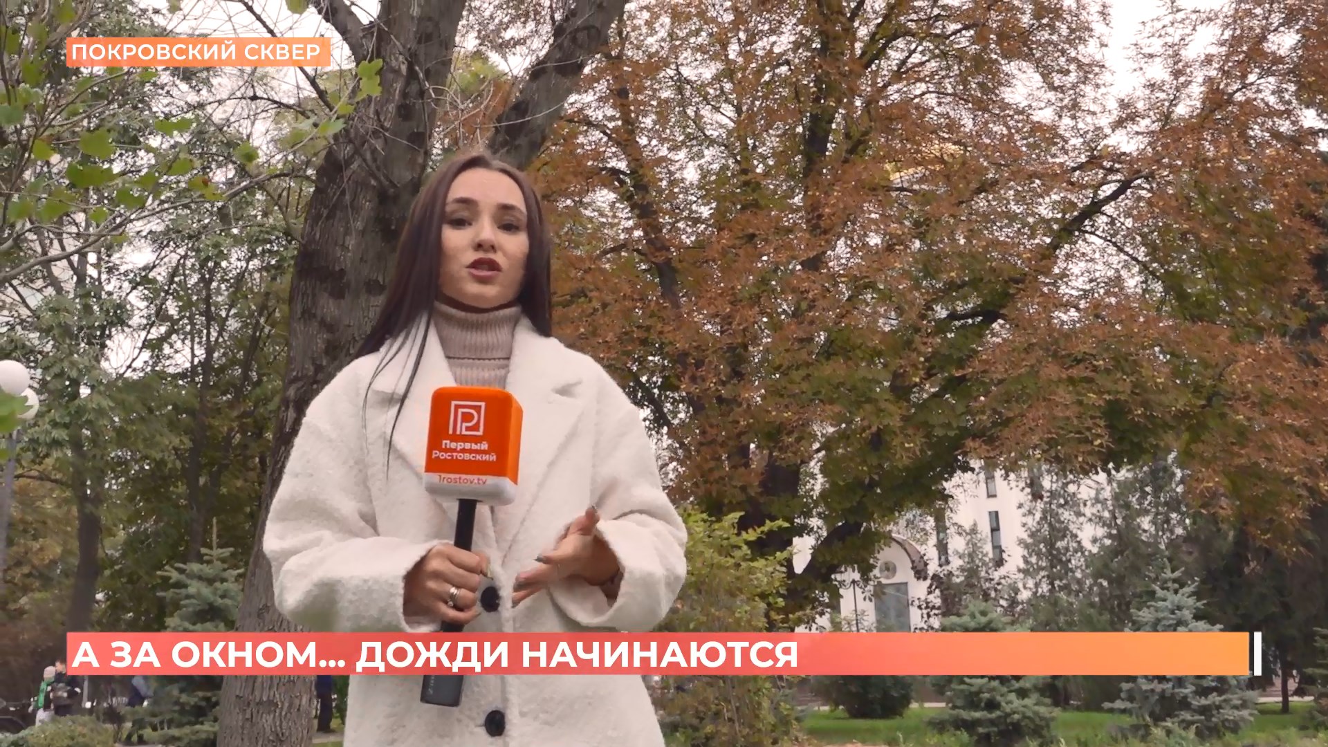 А за окном. 29 сентября 2025