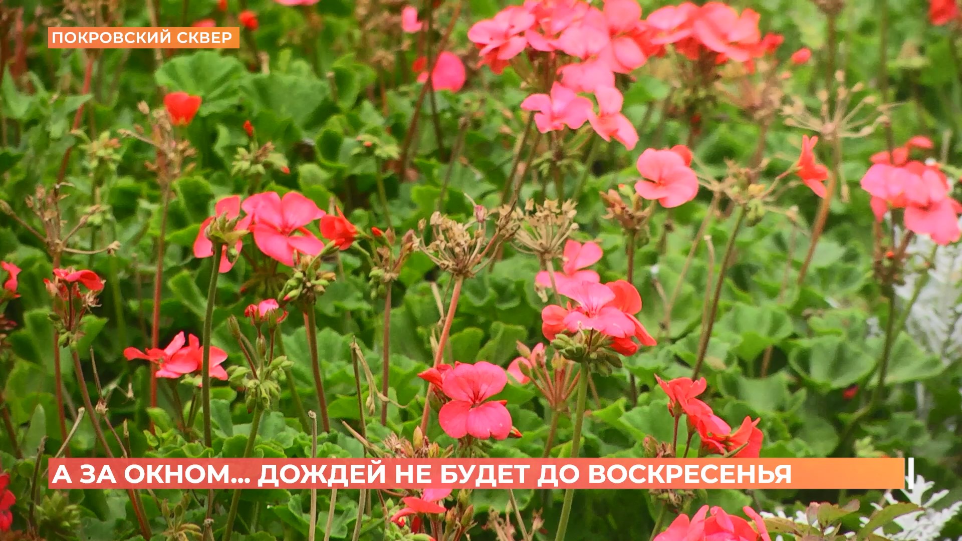 А за окном. 1 октября 2025